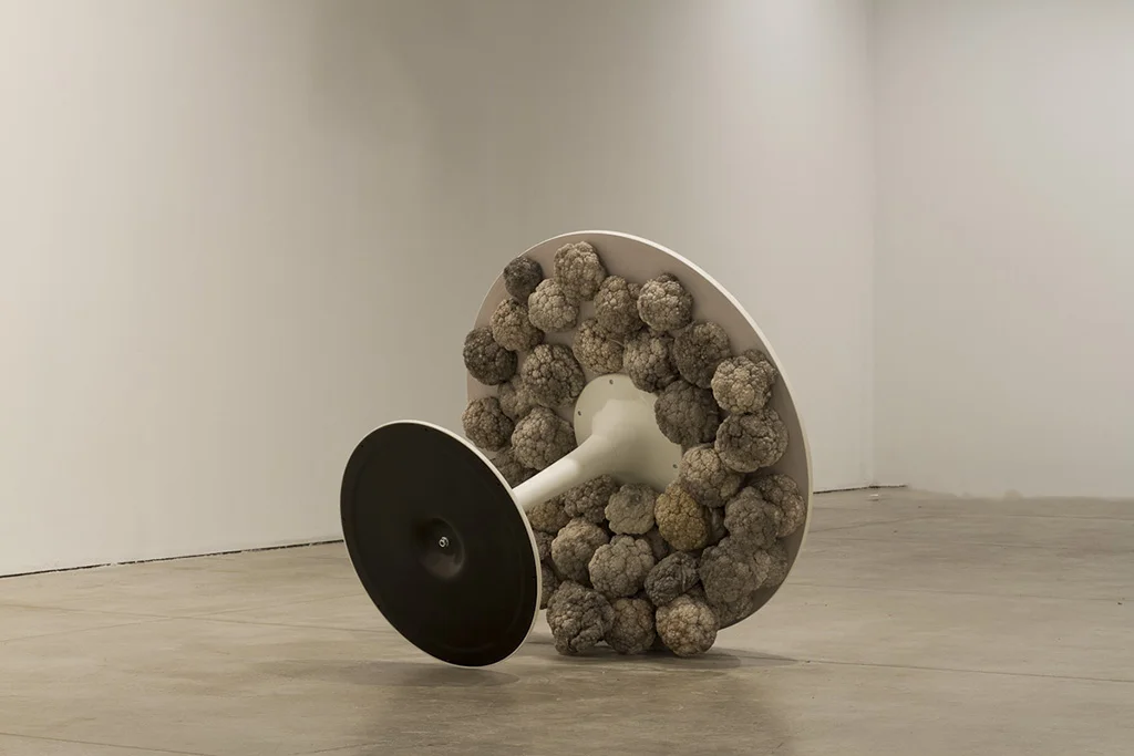 Cause to Lean, 2013
