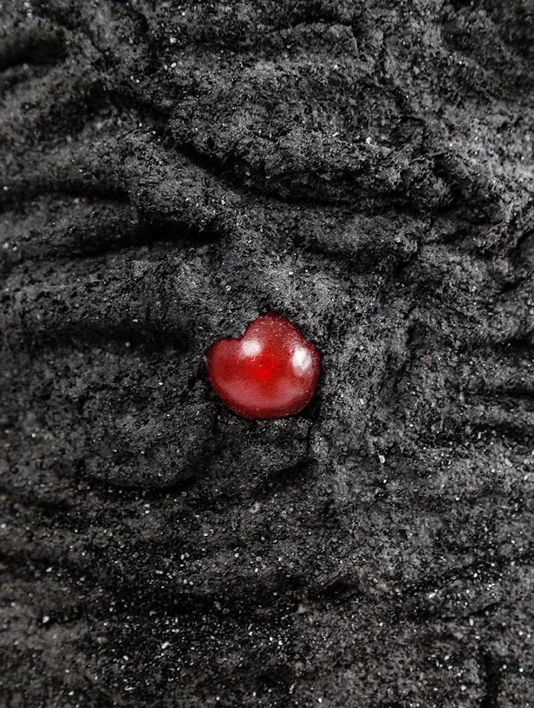 Promises & Threats 1 (detail), 2017
