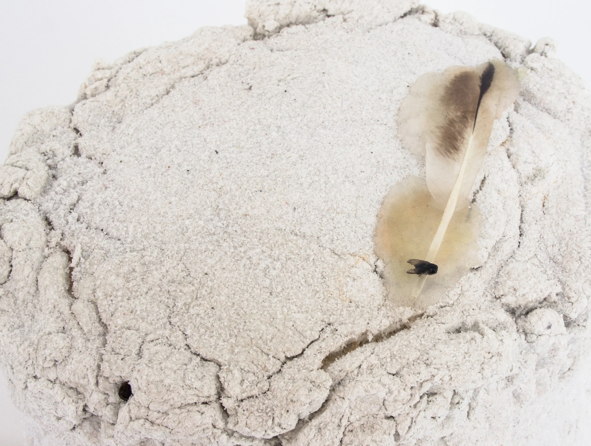 White Lies & Small Orbits 2 (detail), 2017
