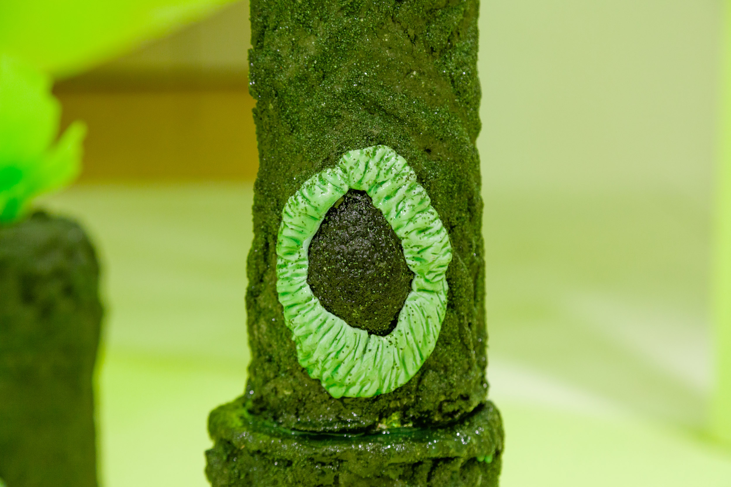 _MG_7106.jpg