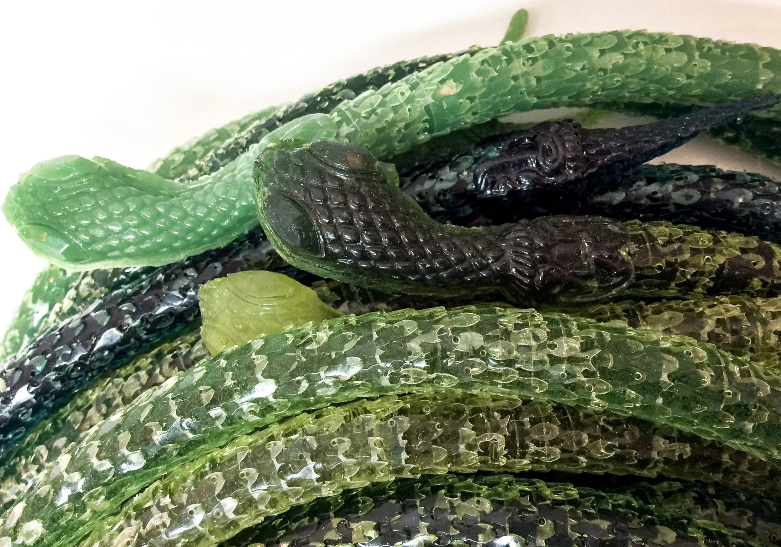 Studio casts Snakes det.jpg