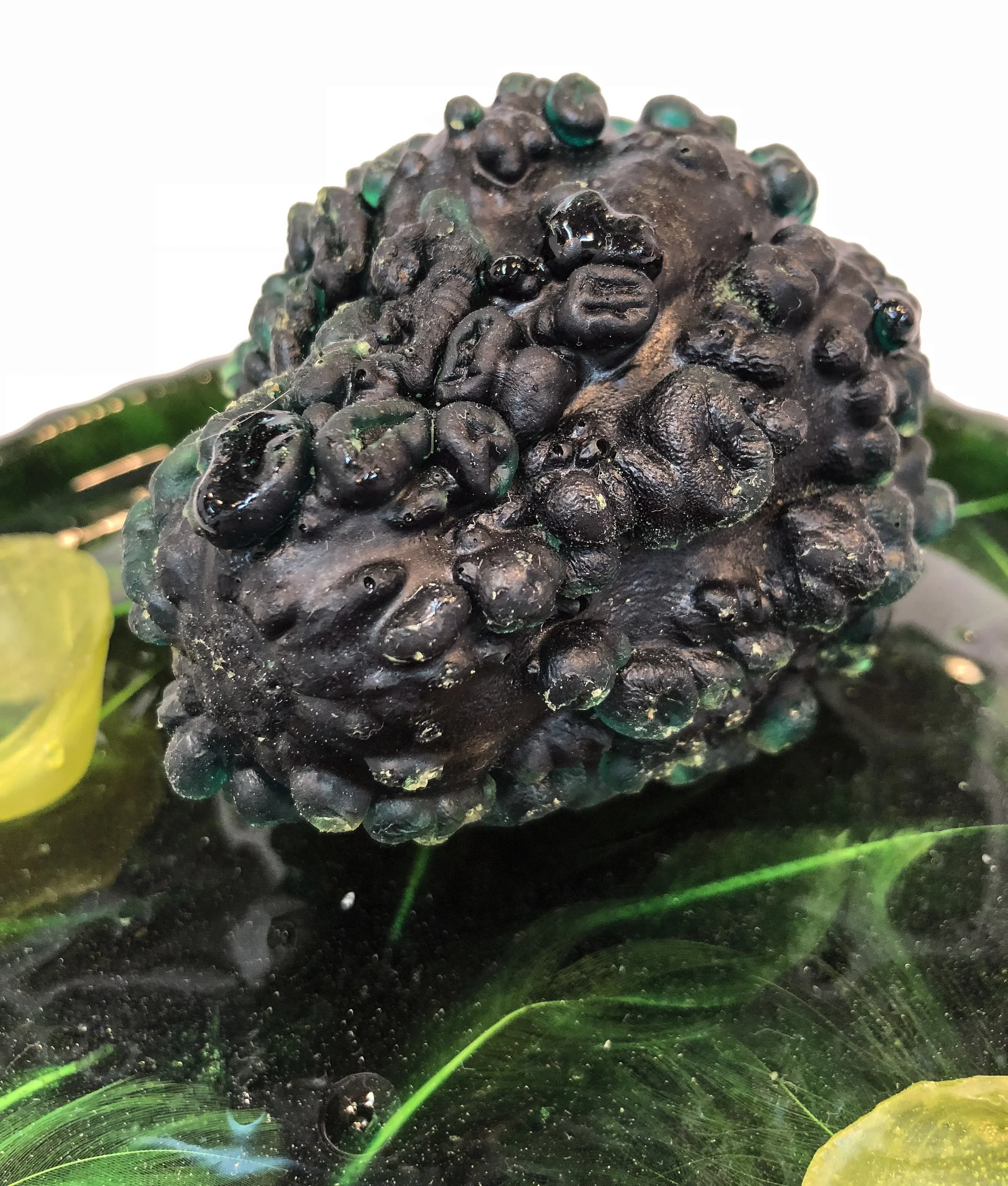 ReimerFrogofFortune2detail2018.jpg