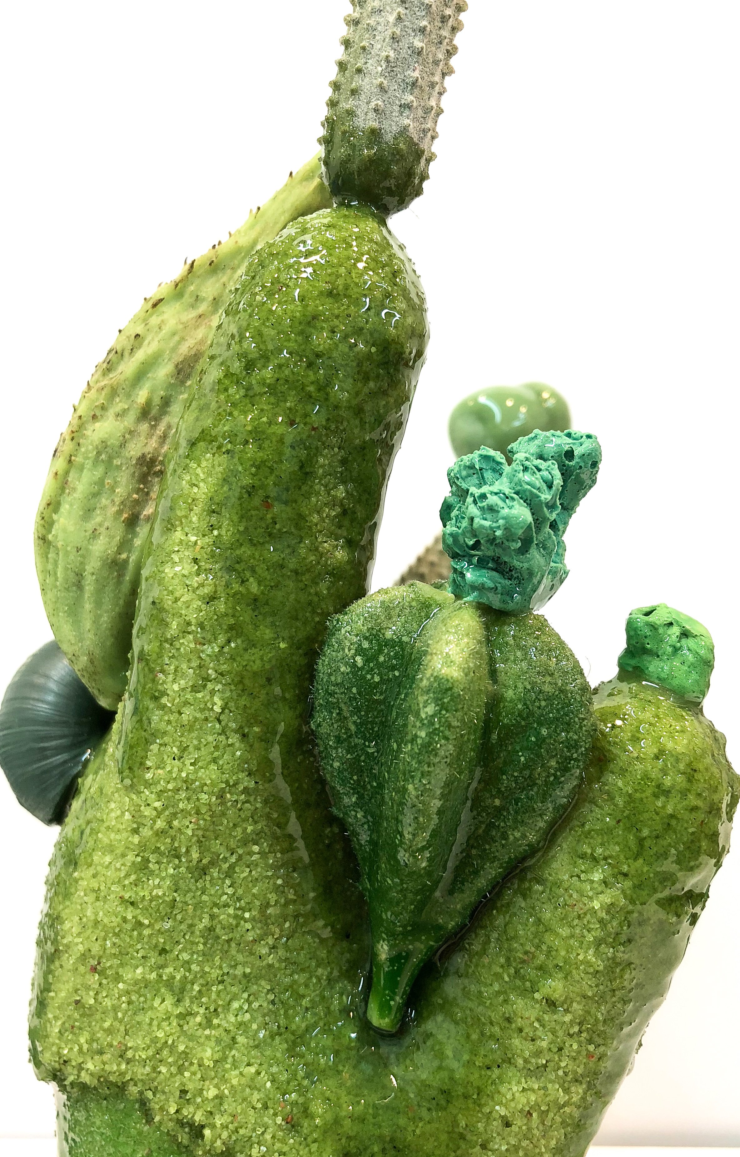 ReimerTouch14DatingDionysus2018.jpg