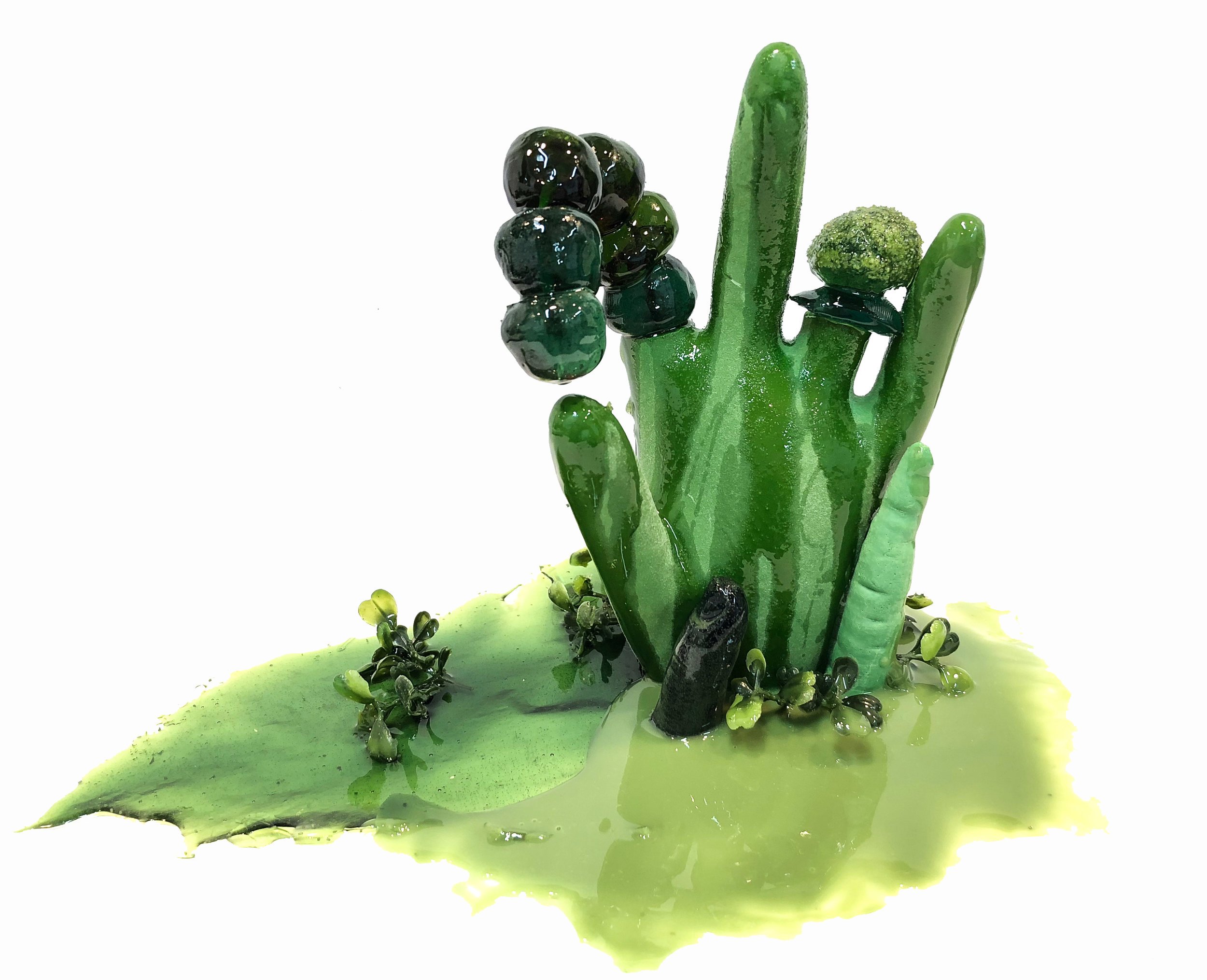 ReimerTouch152018.jpg