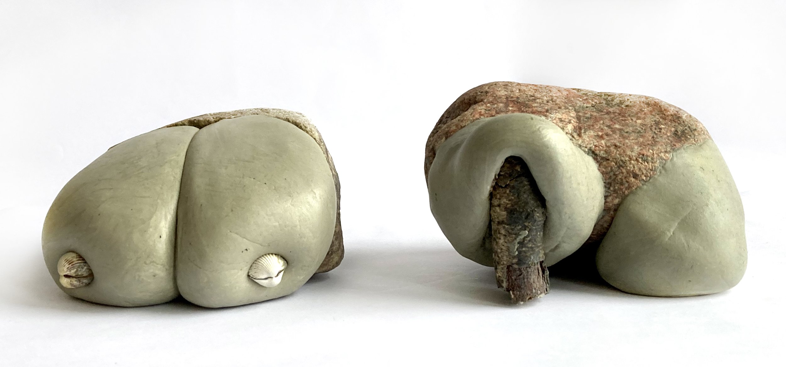 2 large with shells and branch.jpg