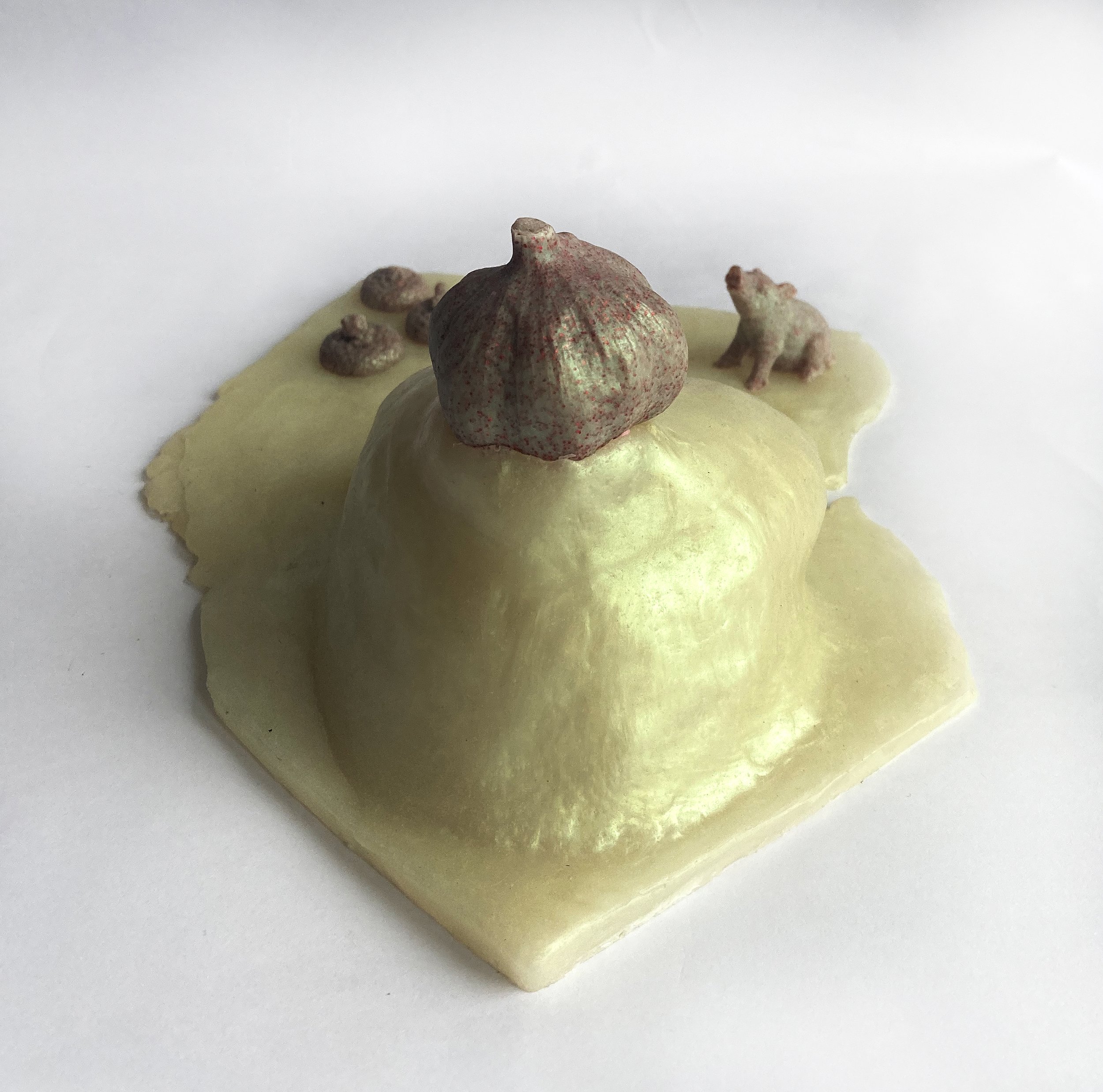 Witness garlic back.jpg