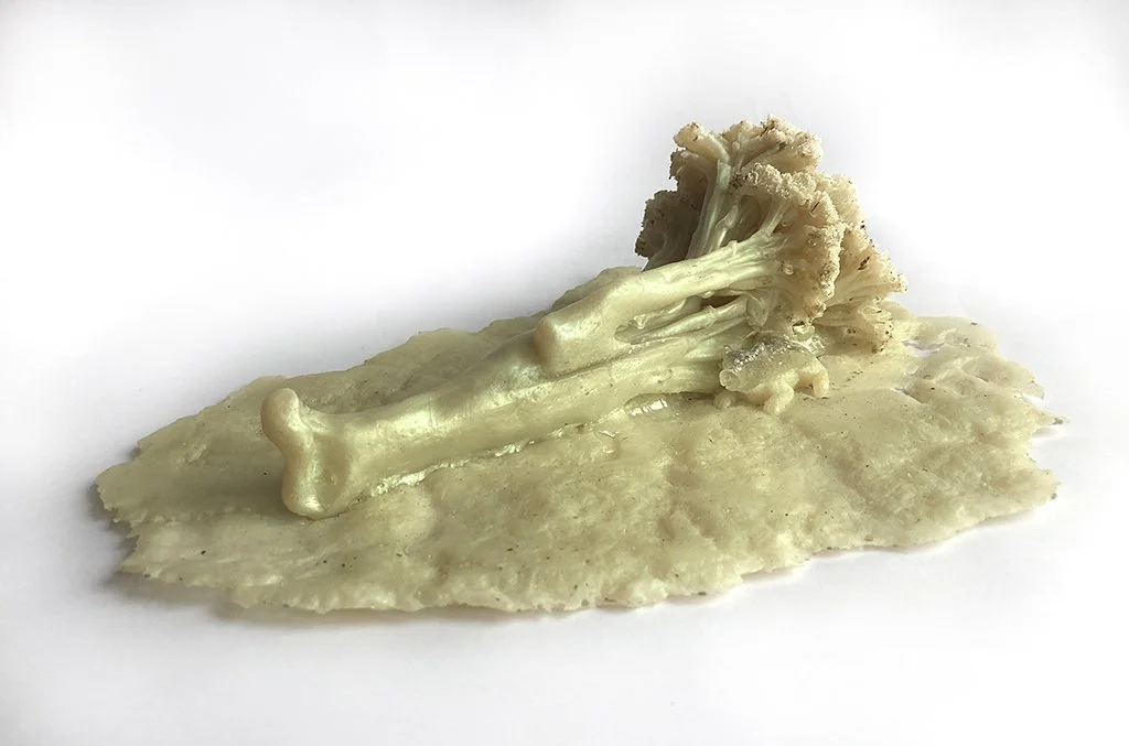 The Witness 1 (broccoli)