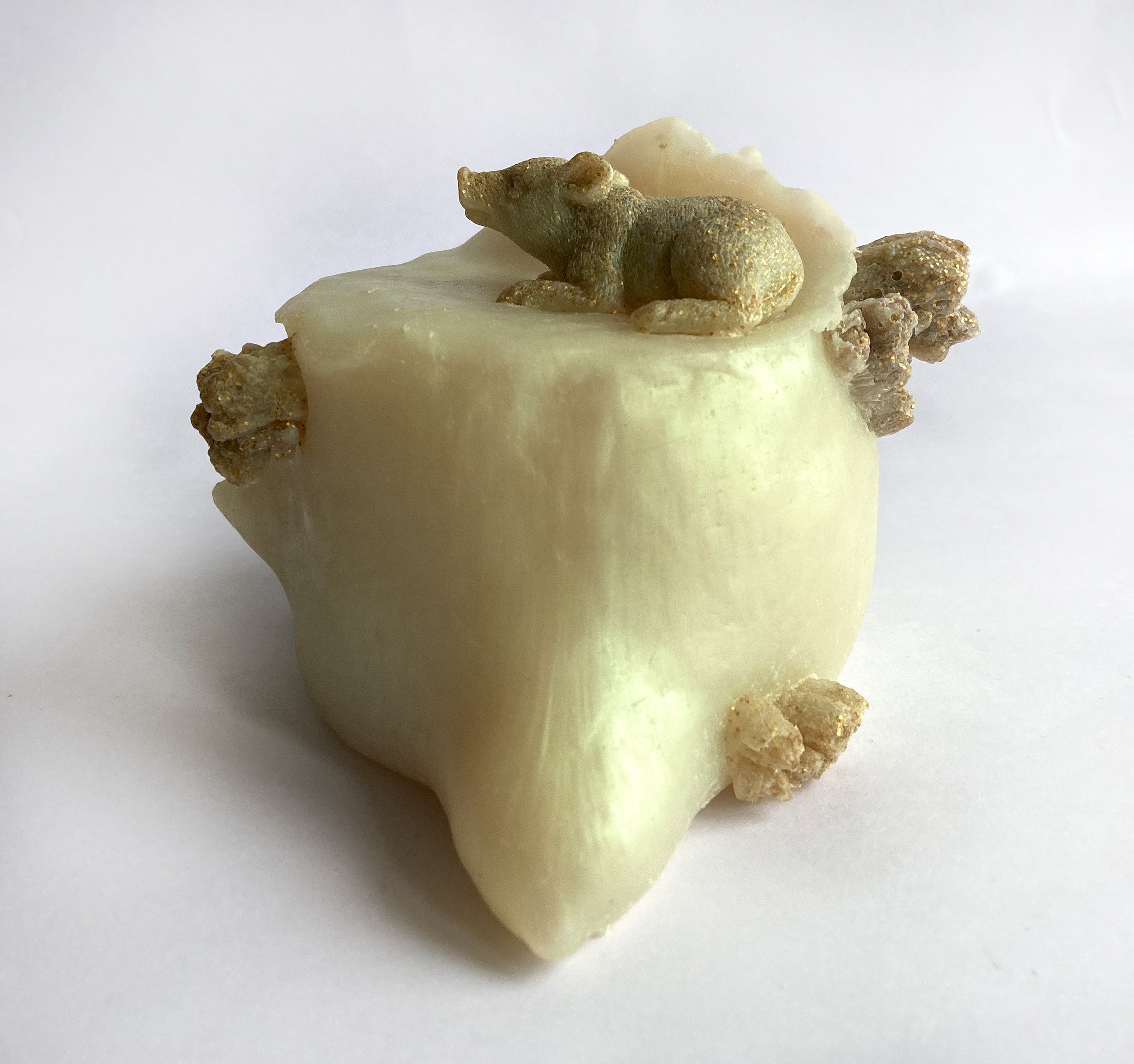 Witness tree stump side 2.jpg