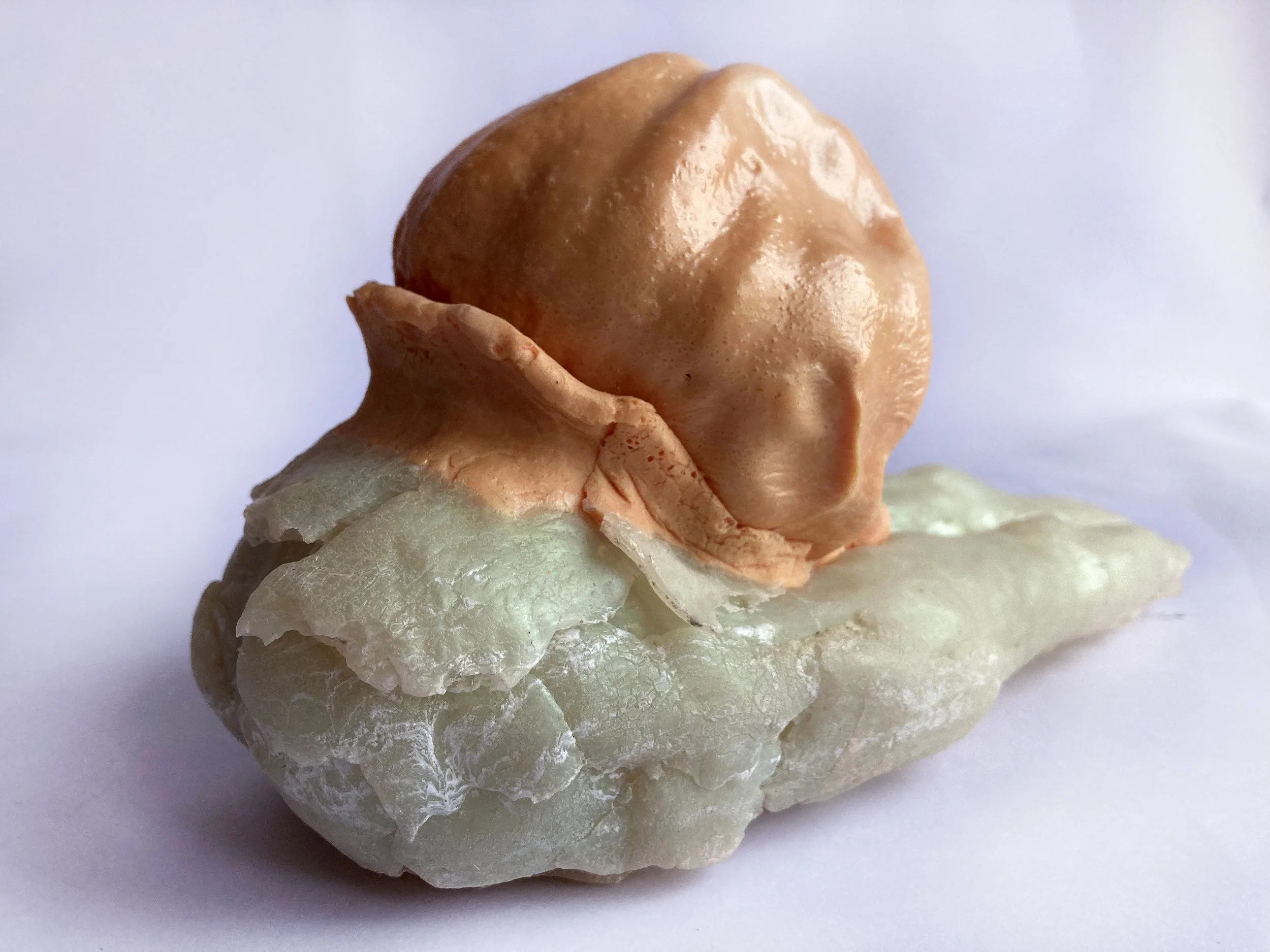 Witness tomato side 2.jpg