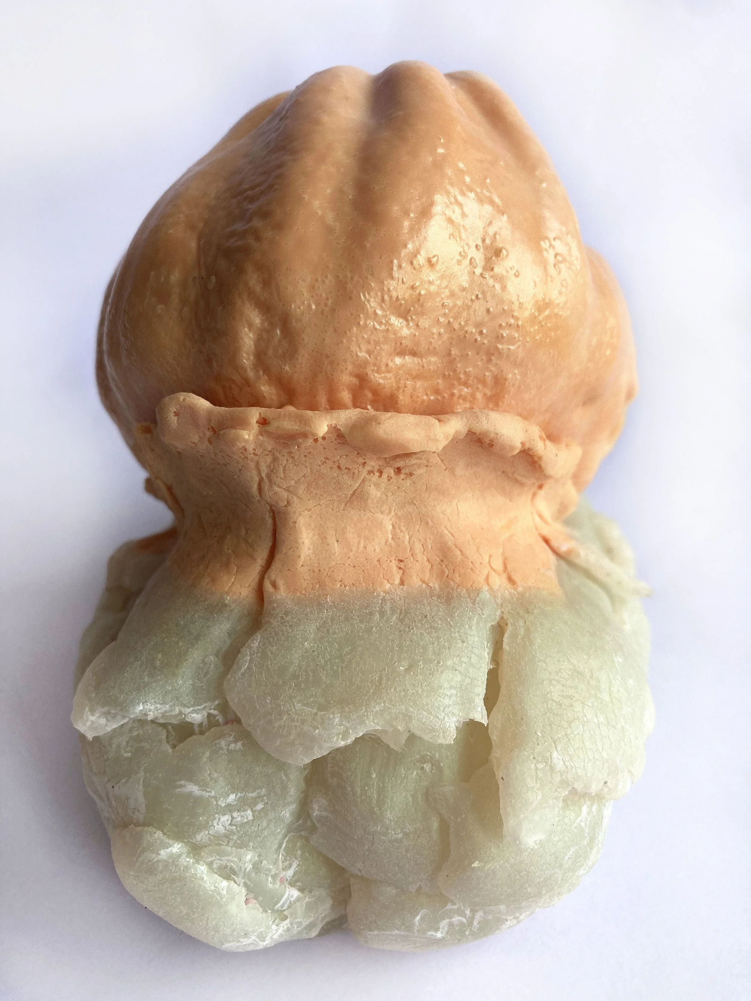 Witness tomato back.jpg