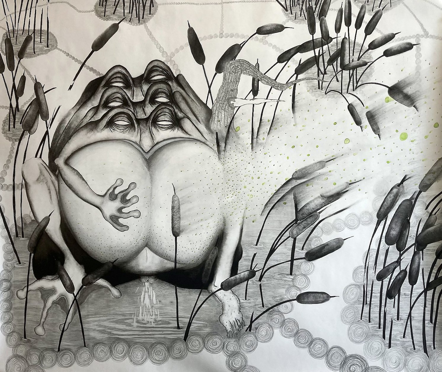 untitled (frog exudate)