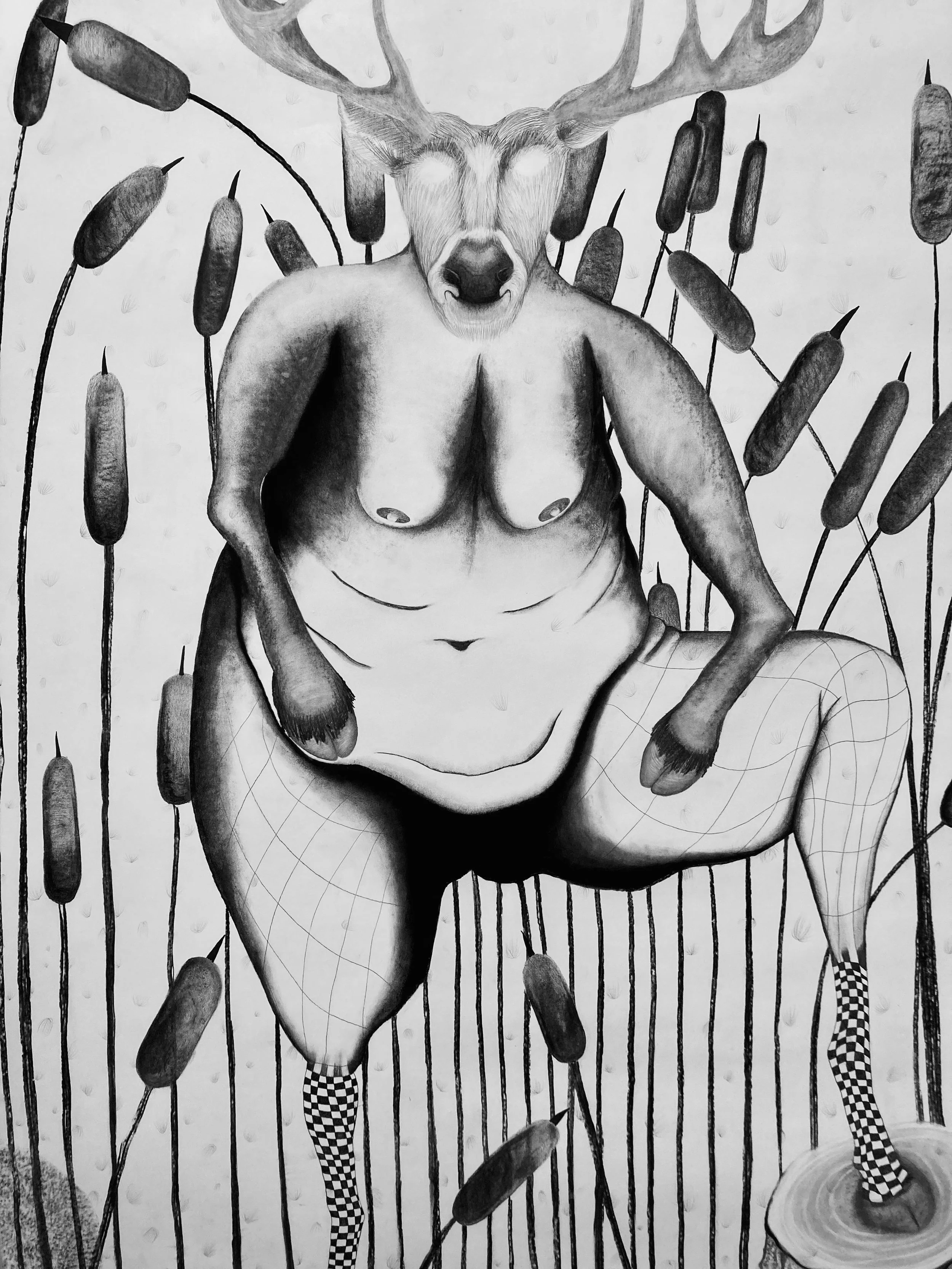 untitled (deer)
