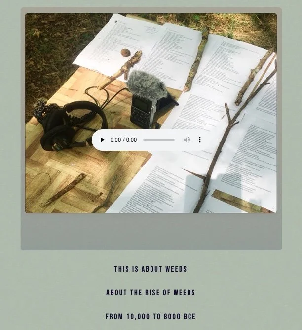  Poem: “Weeds: For the Natufians” by Lisa Robertson   Listen to the Poem  