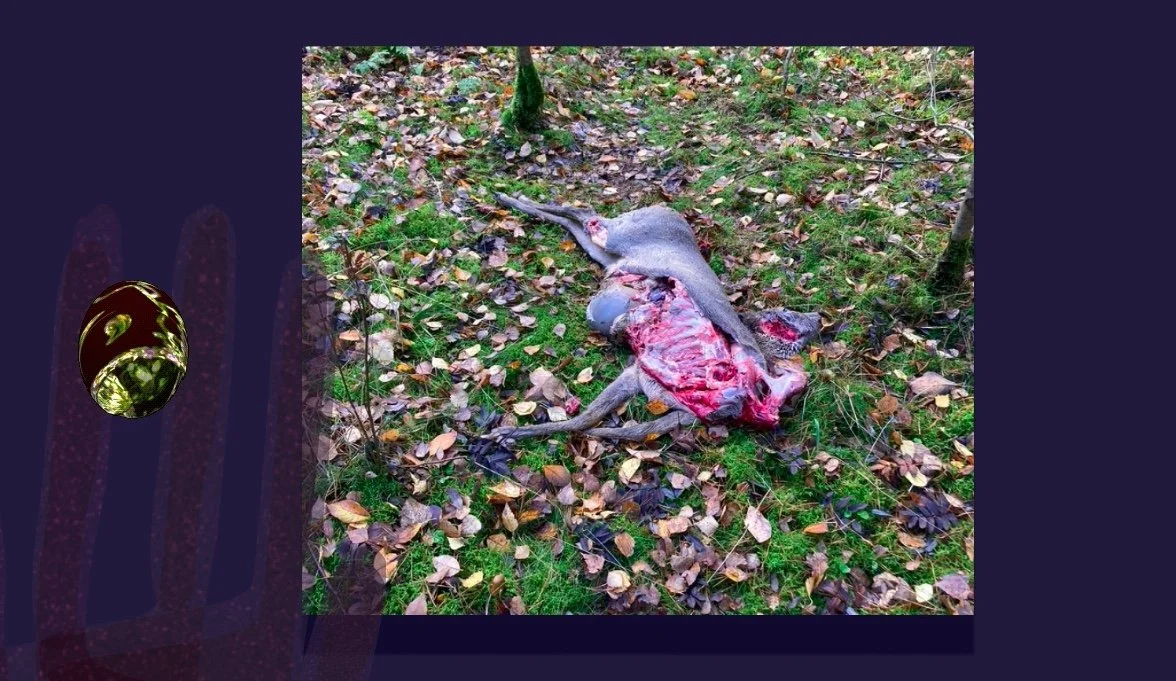 Screen Shot 2023-05-23 at 7.22.04 PM.jpg