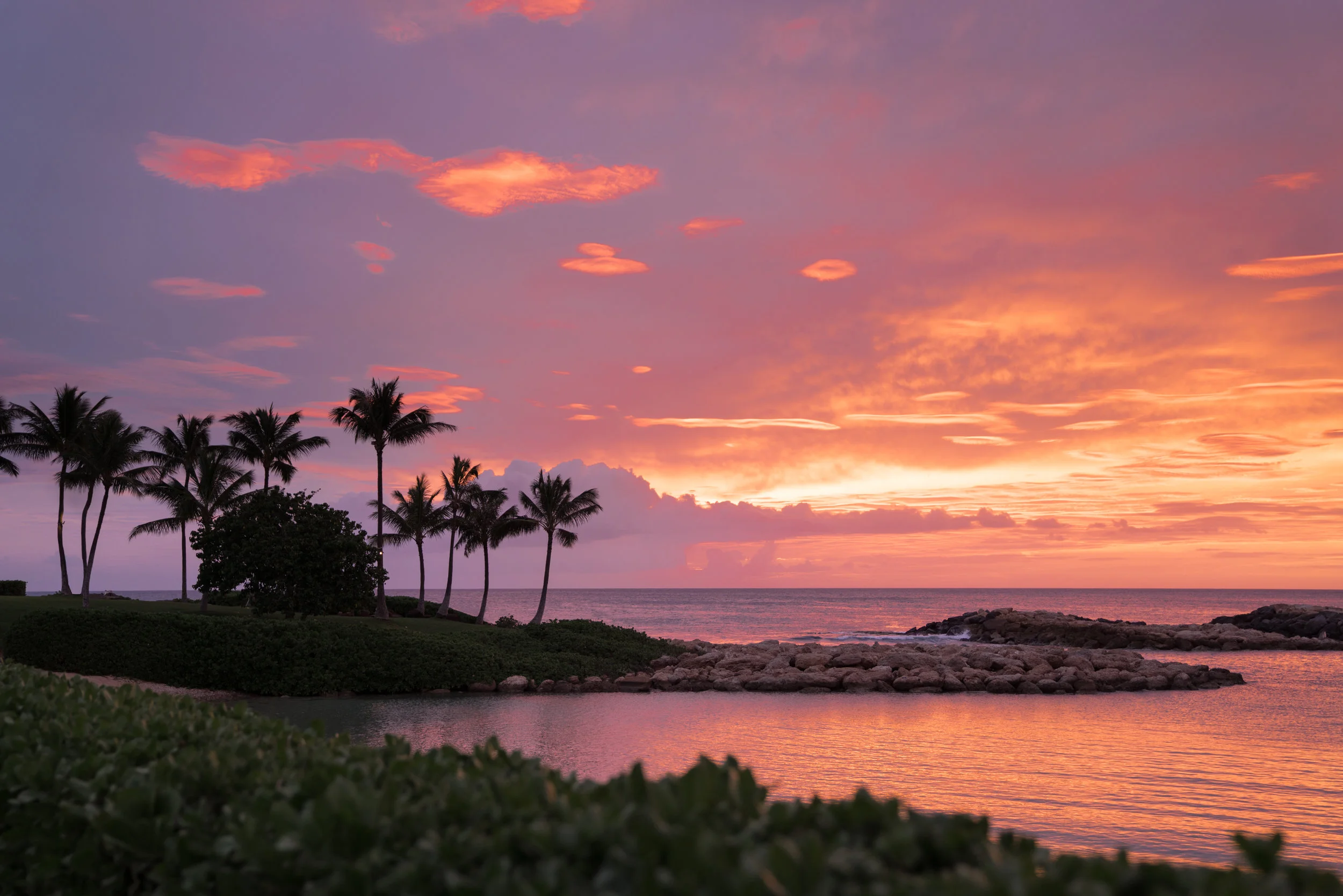 Hawaii-2.jpg