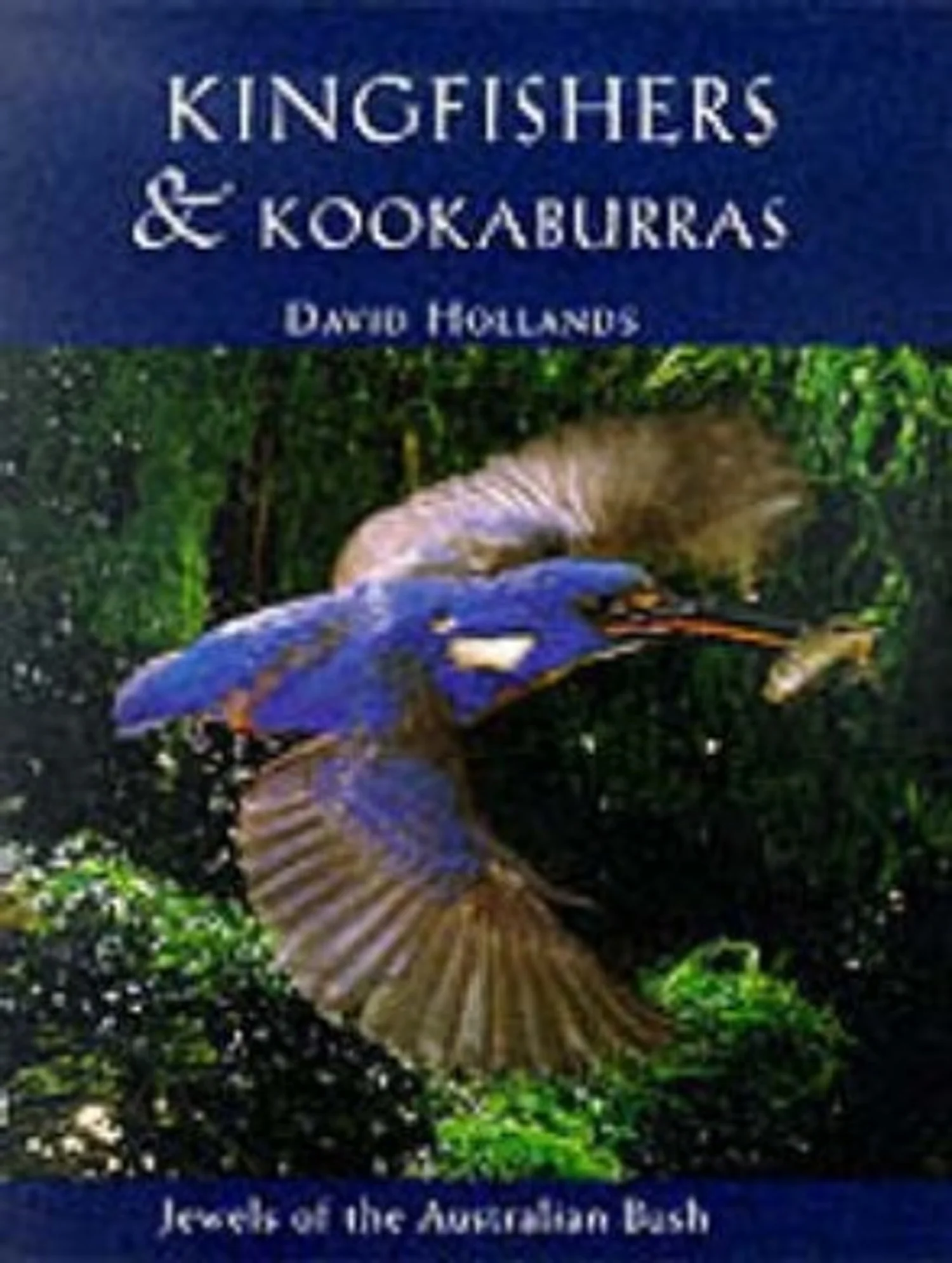 Kingfishers and Kookaburras_1500px.jpeg