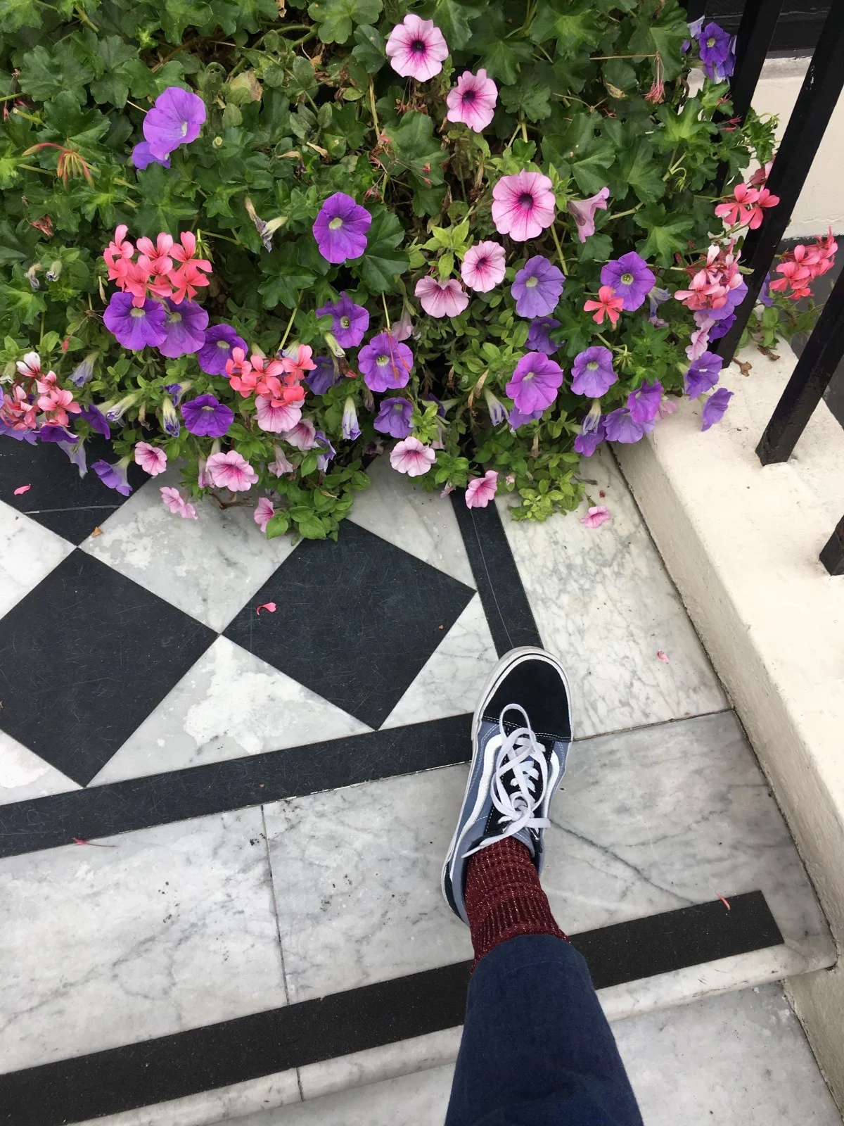 Slowing down in London, admiring the flowers at every turn.