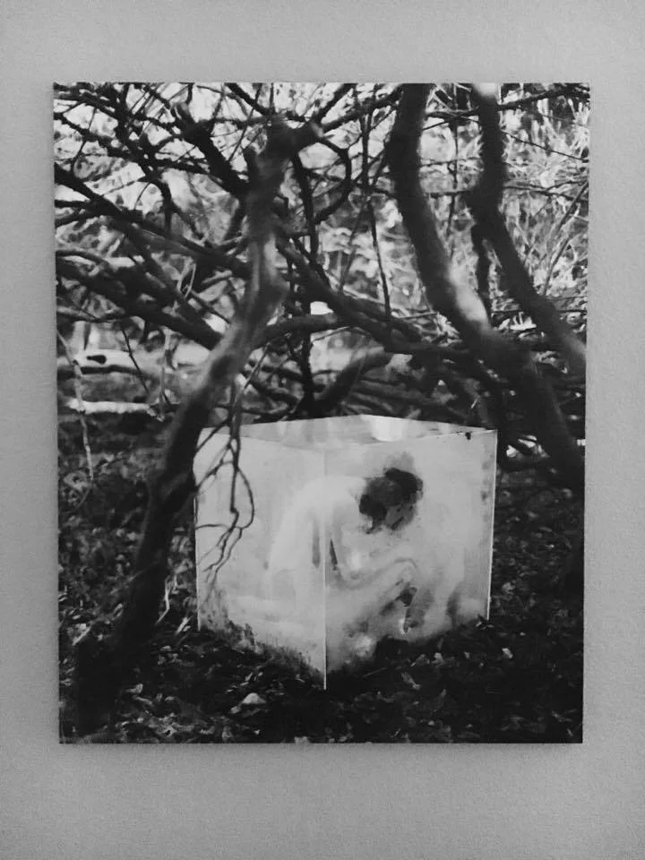 Photography by Kasey Williams 