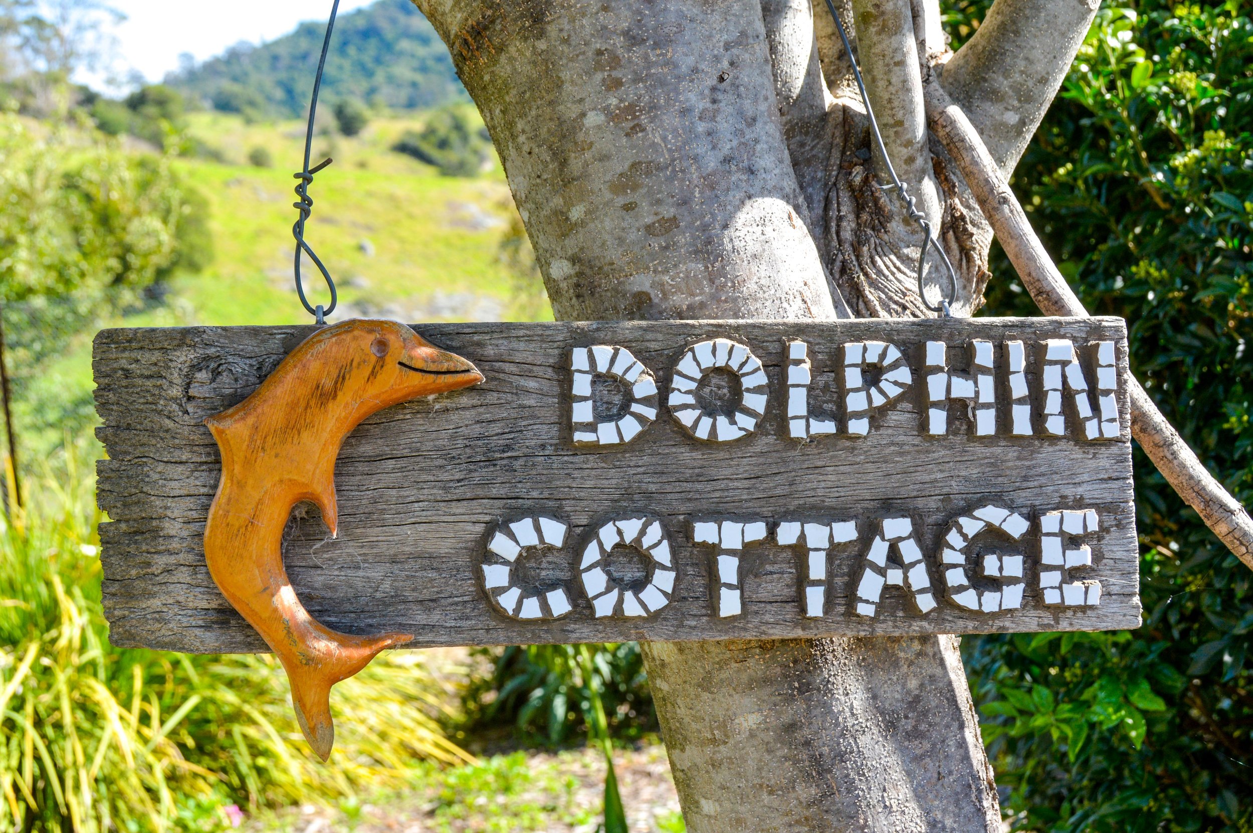 Dolphin sign.jpg