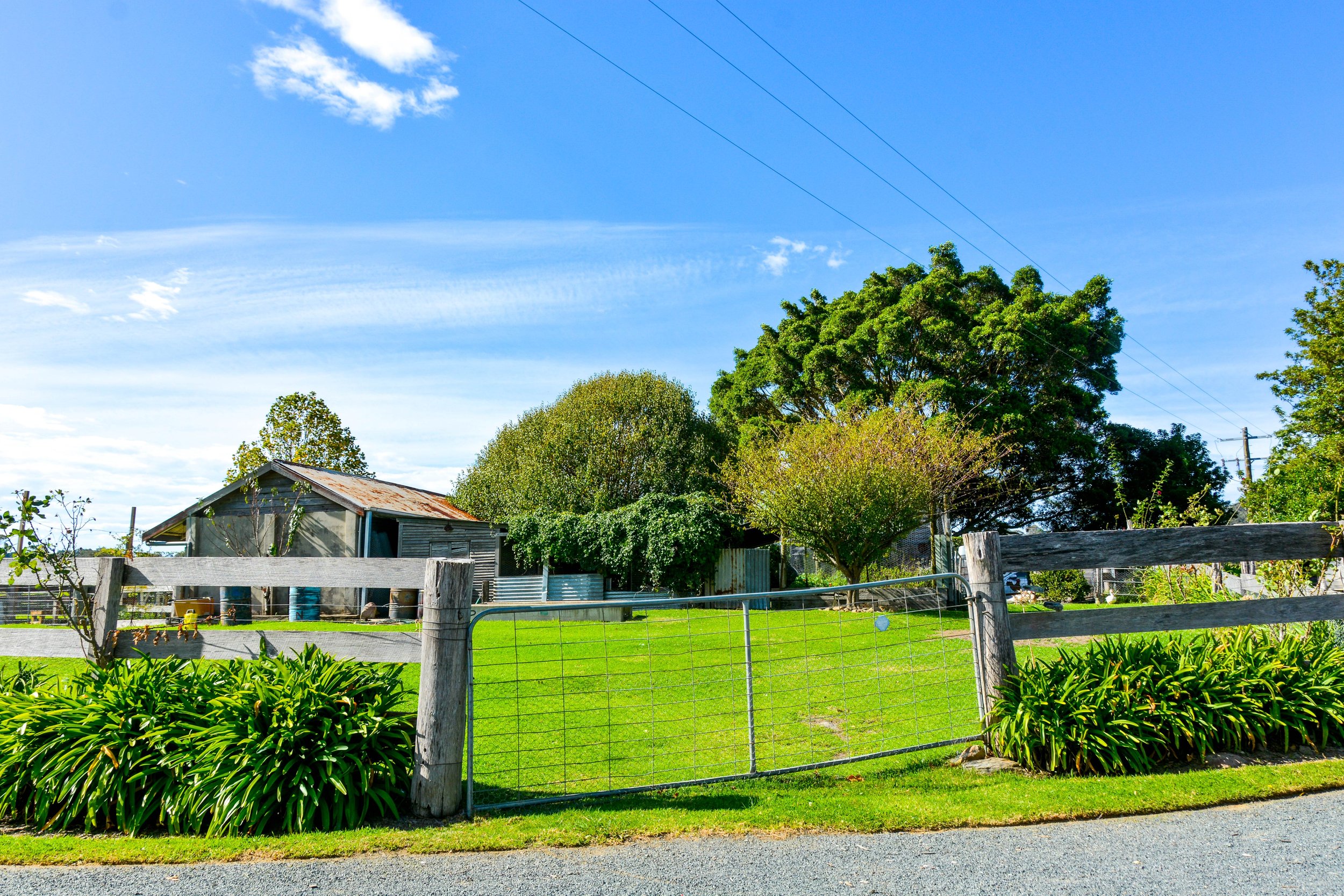 Chook gate.jpg