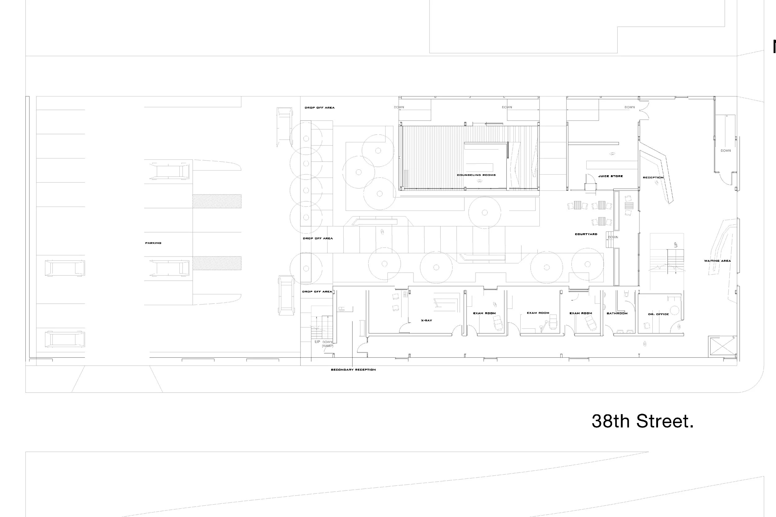 Program Plan