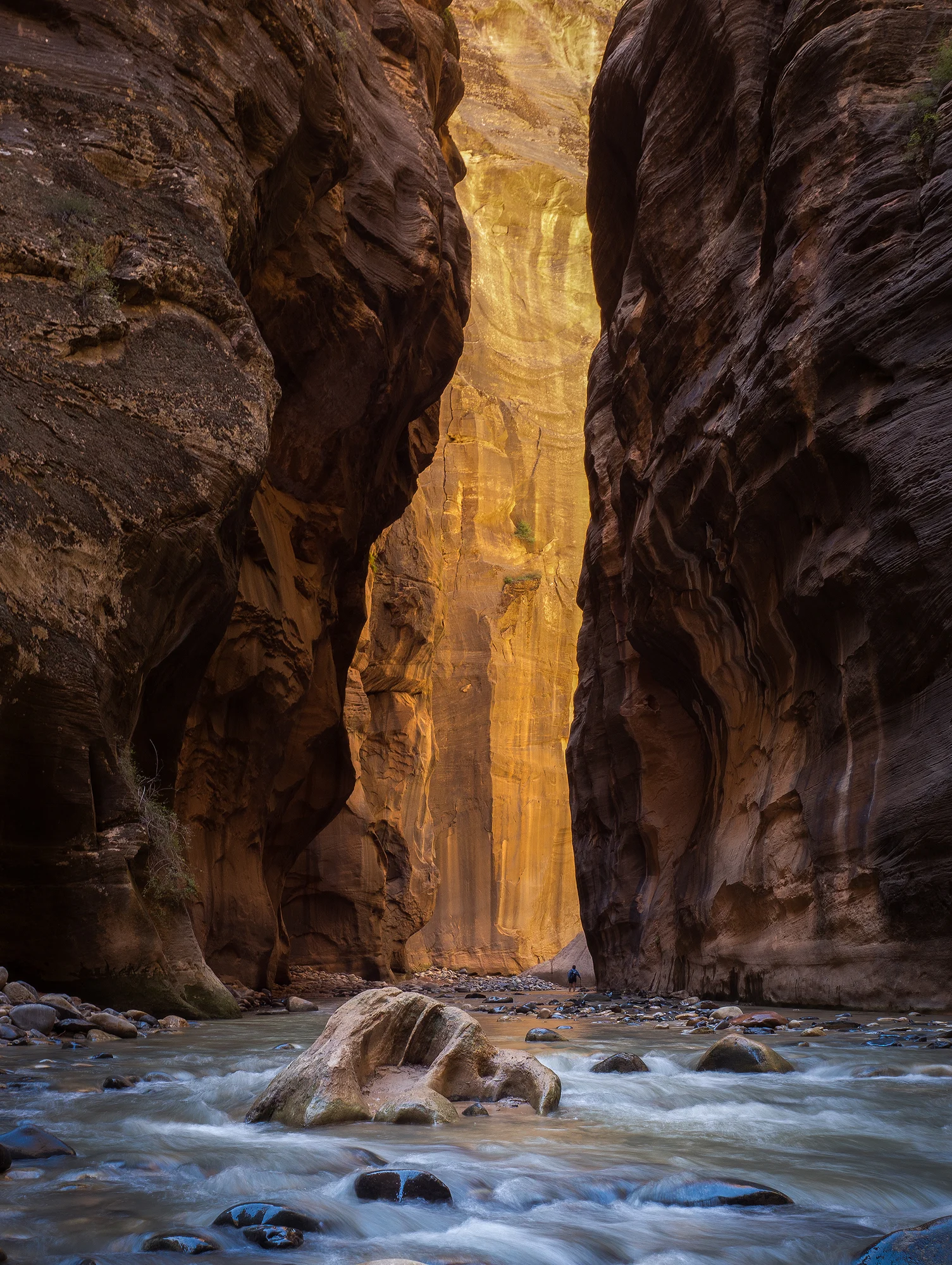 Zion Narrows.jpg