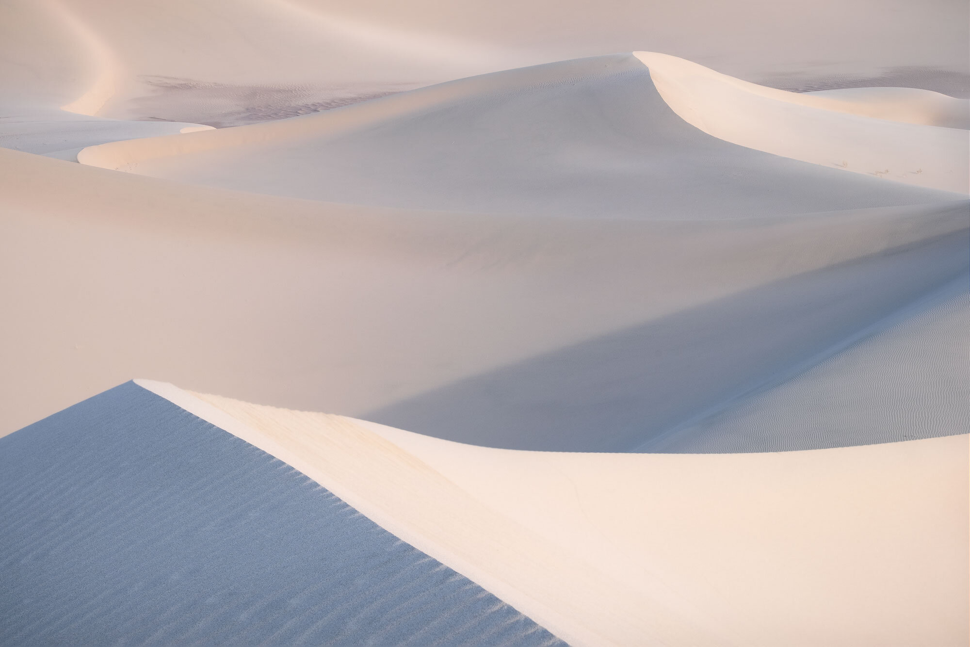 Dune-Brothers---Desert.jpg