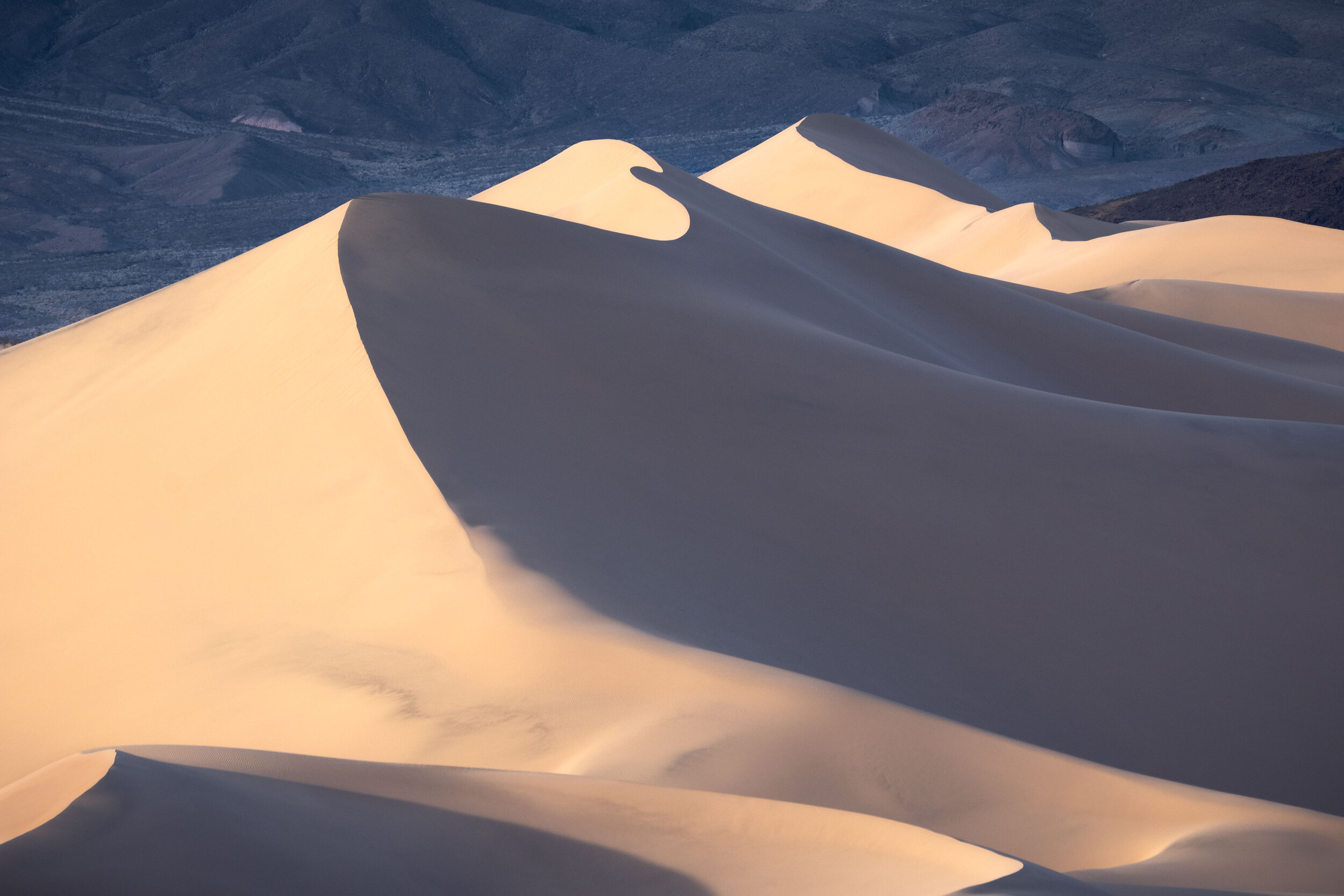Ibex-Dunes----Desert.jpg