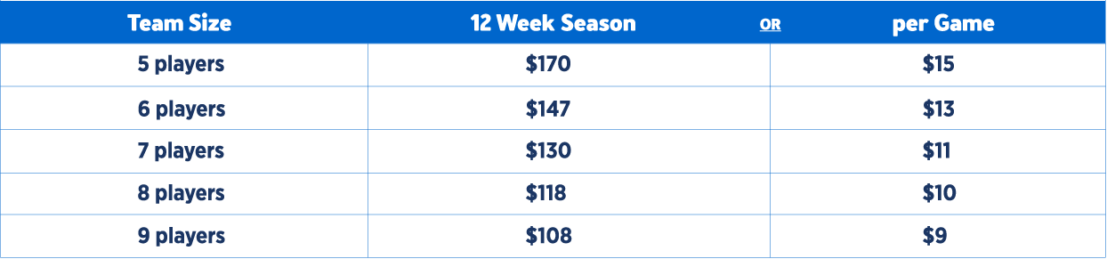 * Above amounts are based on one competition at cost of $700 per team + club memberships at cost of $30 per player (paid only once per season)