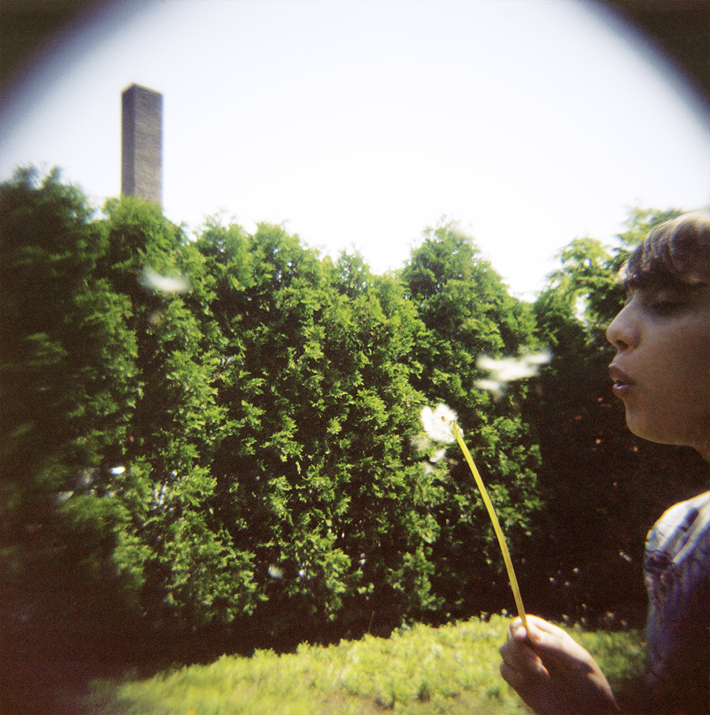 Blowing Dandelions, 2012