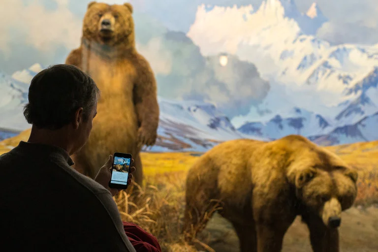 5 New Digital Projects Helping People Access the Arts