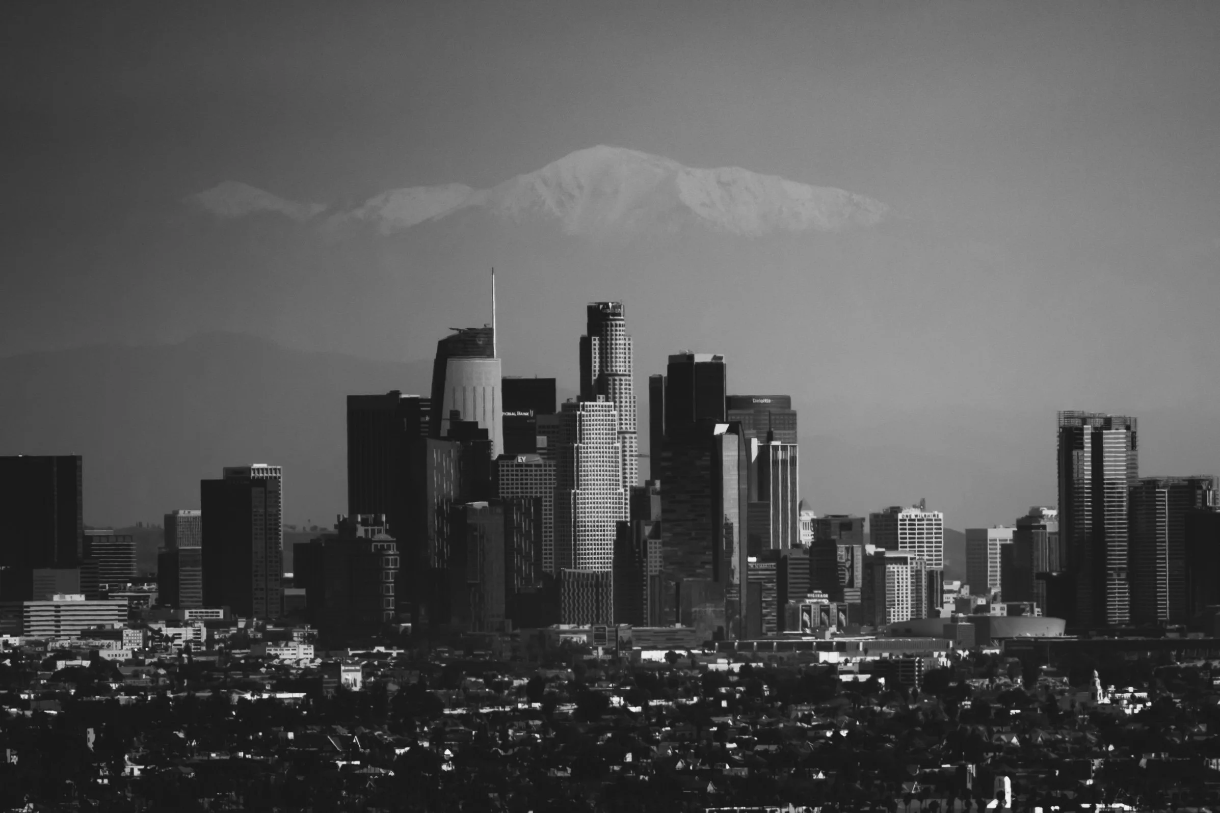 LA23_114_20230303.jpg