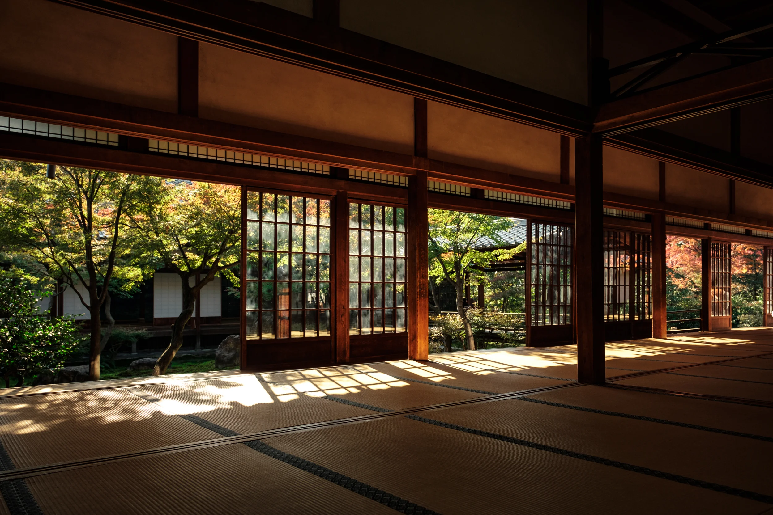 DSCF8877.jpg