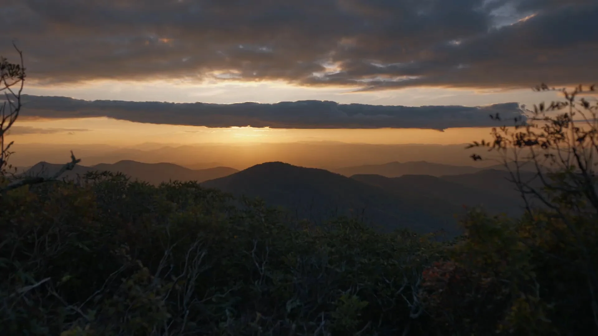 Discover Asheville’s Hidden Craggy Gardens - Atlas Obscura.jpg