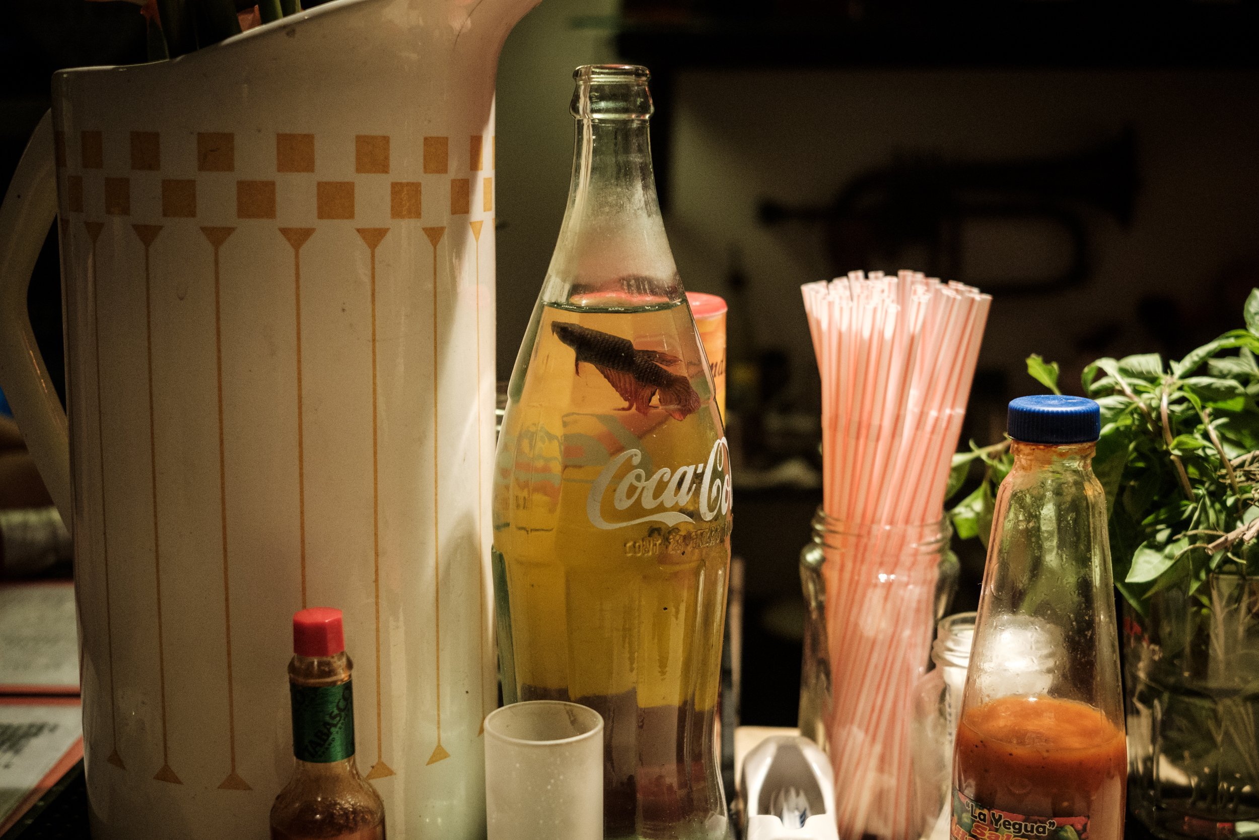DSCF3015.jpg
