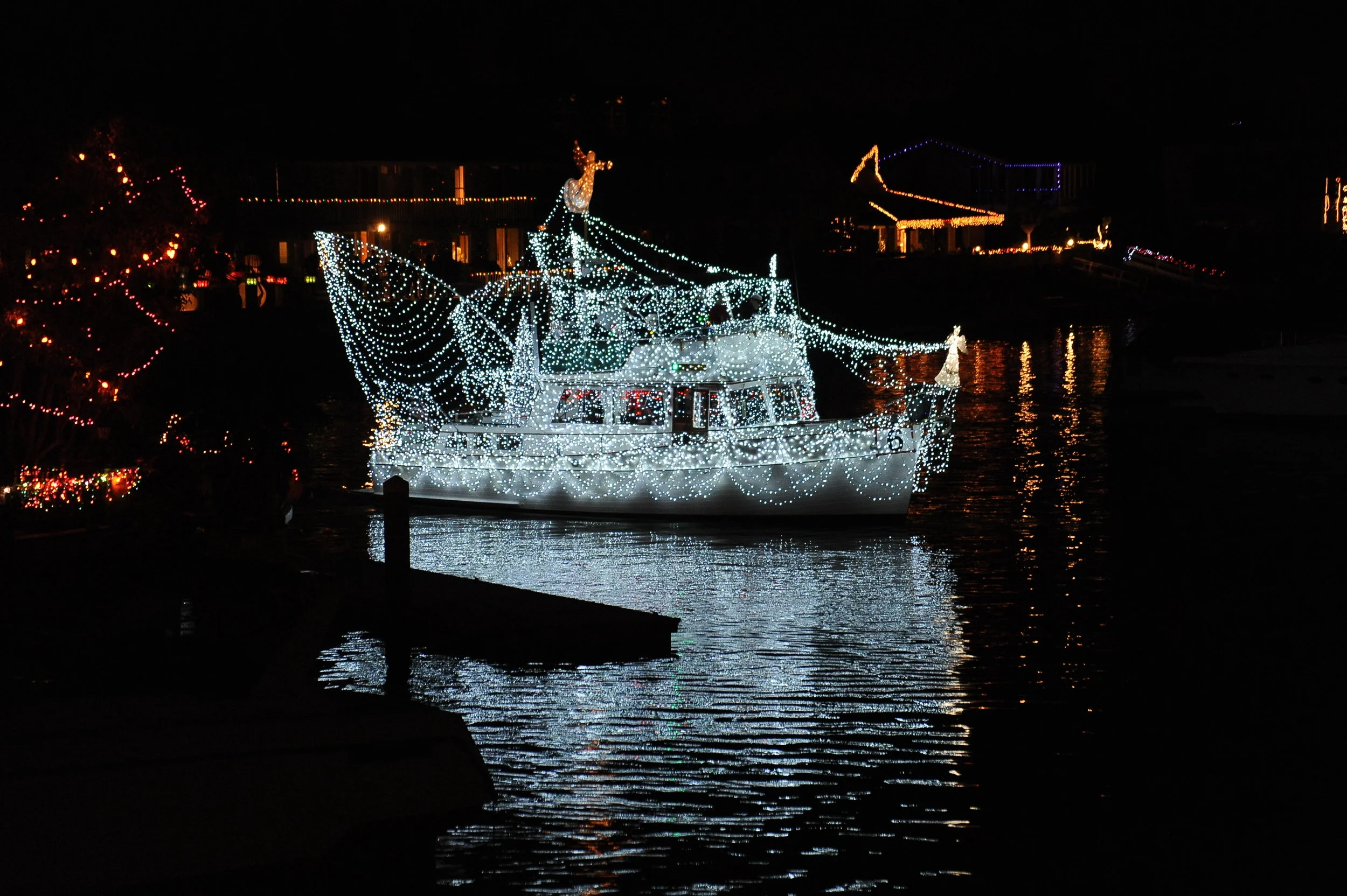 DSC_8645.JPG