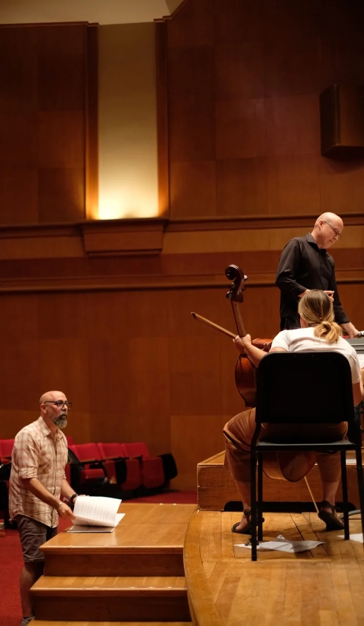 Like Seeds of Light; strings, piano and percussion 2018