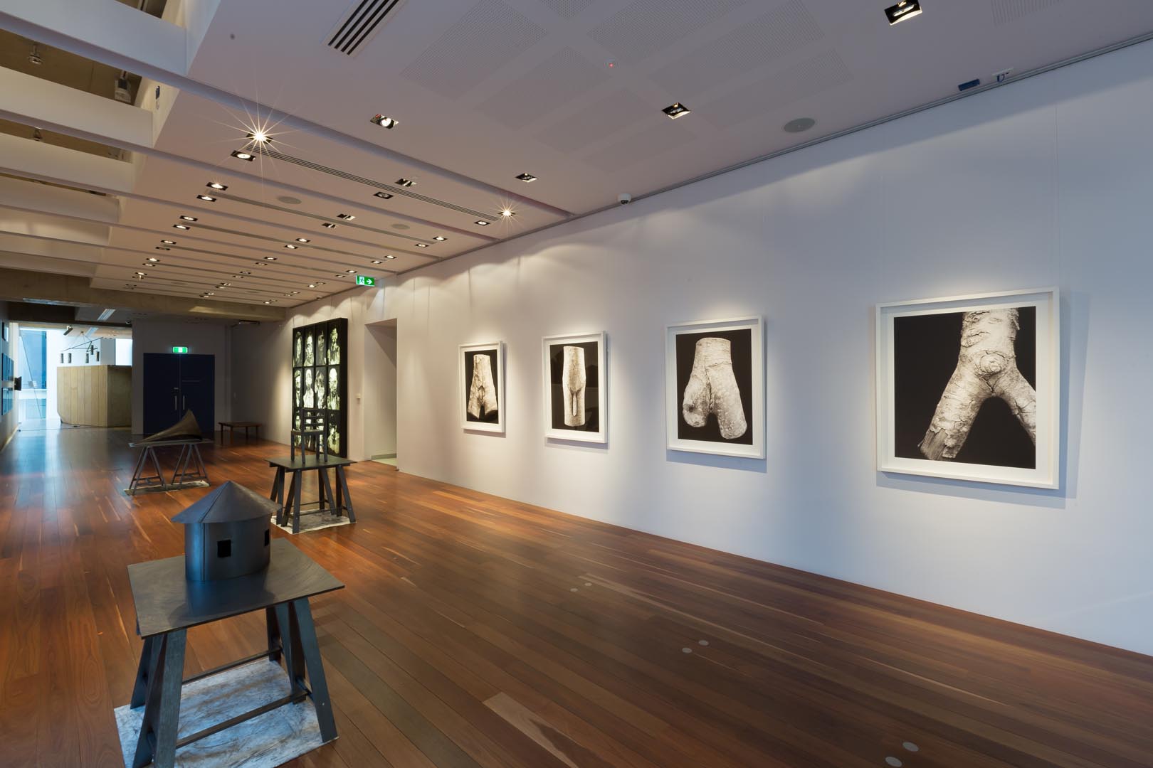 CACSA Contemporary15_KerryPacker_12_LoRes.jpg