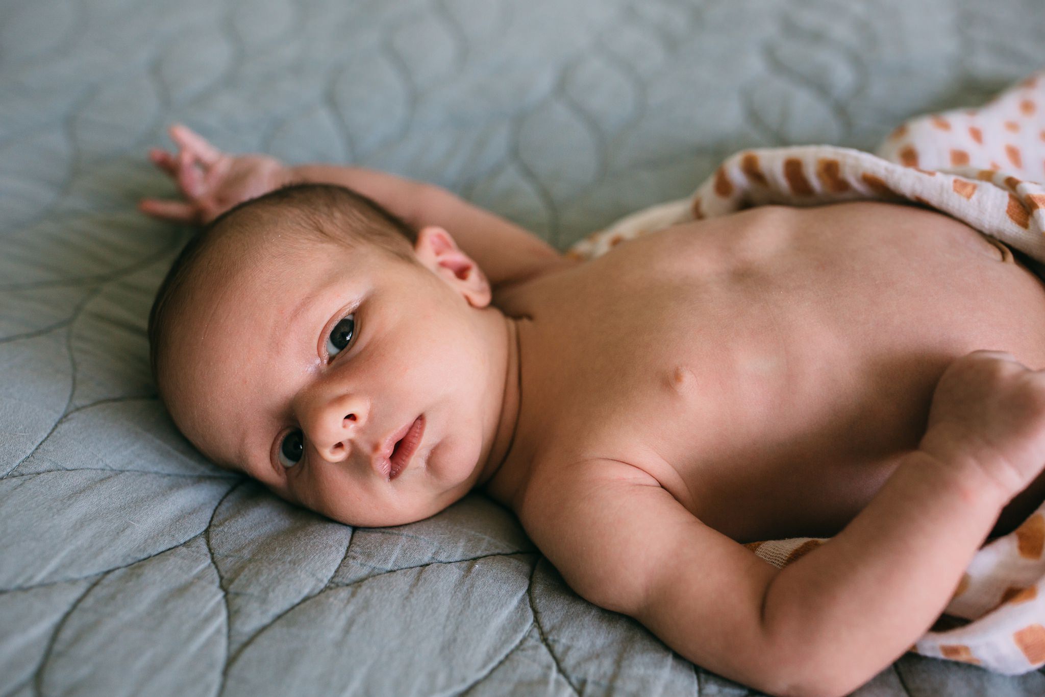 In-Home Newborn Lifestyle Session | Whidbey Island Family Photographer