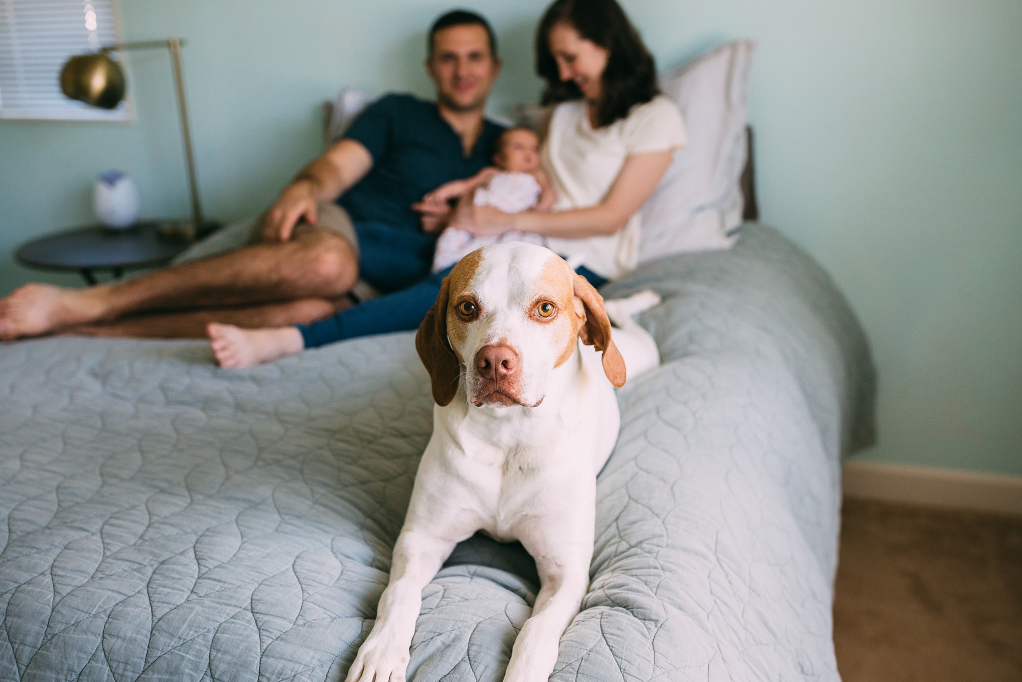 In-Home Newborn Lifestyle Session | Whidbey Island Family Photographer