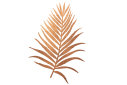 copper-leaf.png