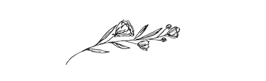 Florals.png