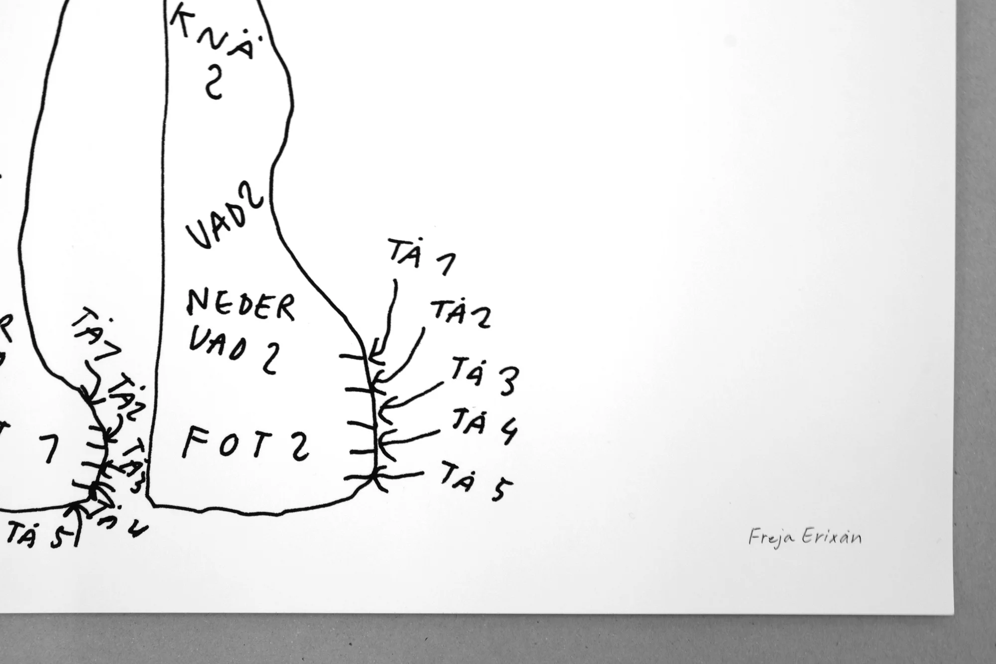 freja-kropp-sign.jpg