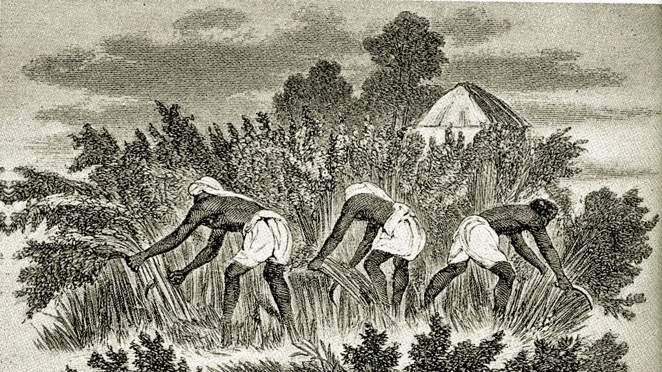 "Blue Gold" | The Timeless Importance Of Indigo In Fashion