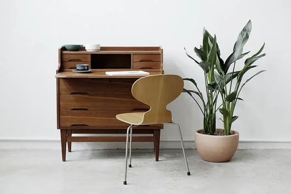 DSF3566_grande.jpg