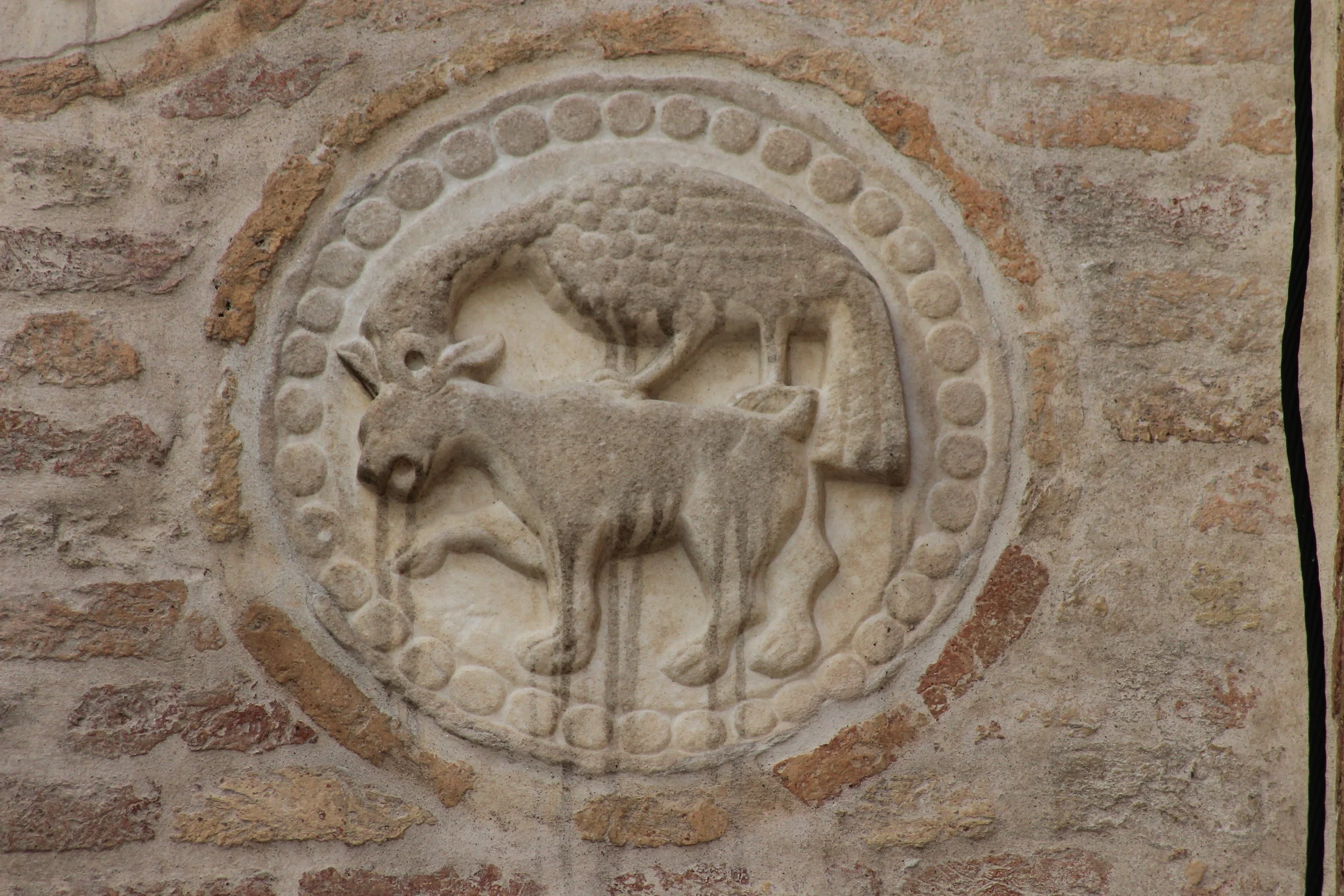 Aquila che becca sul capo leporide sottostante ; bordo a tondini. Marmo greco. XII secolo.Diam. cm 30 ca.Chiesa di Santa Maria del Carmelo, fianco destro del protiro. 