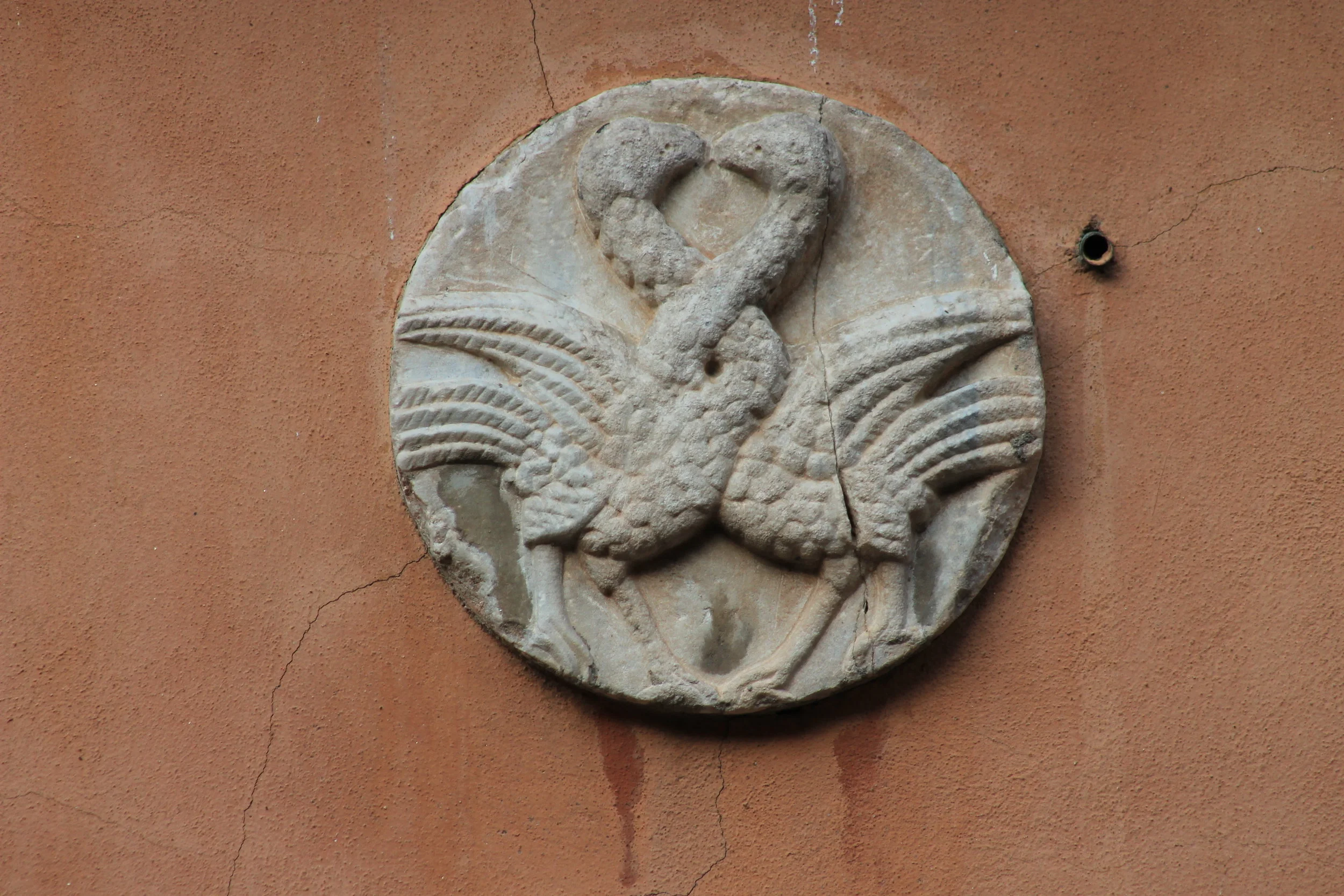 Due uccelli che intrecciano i colli ; loc. da identificare