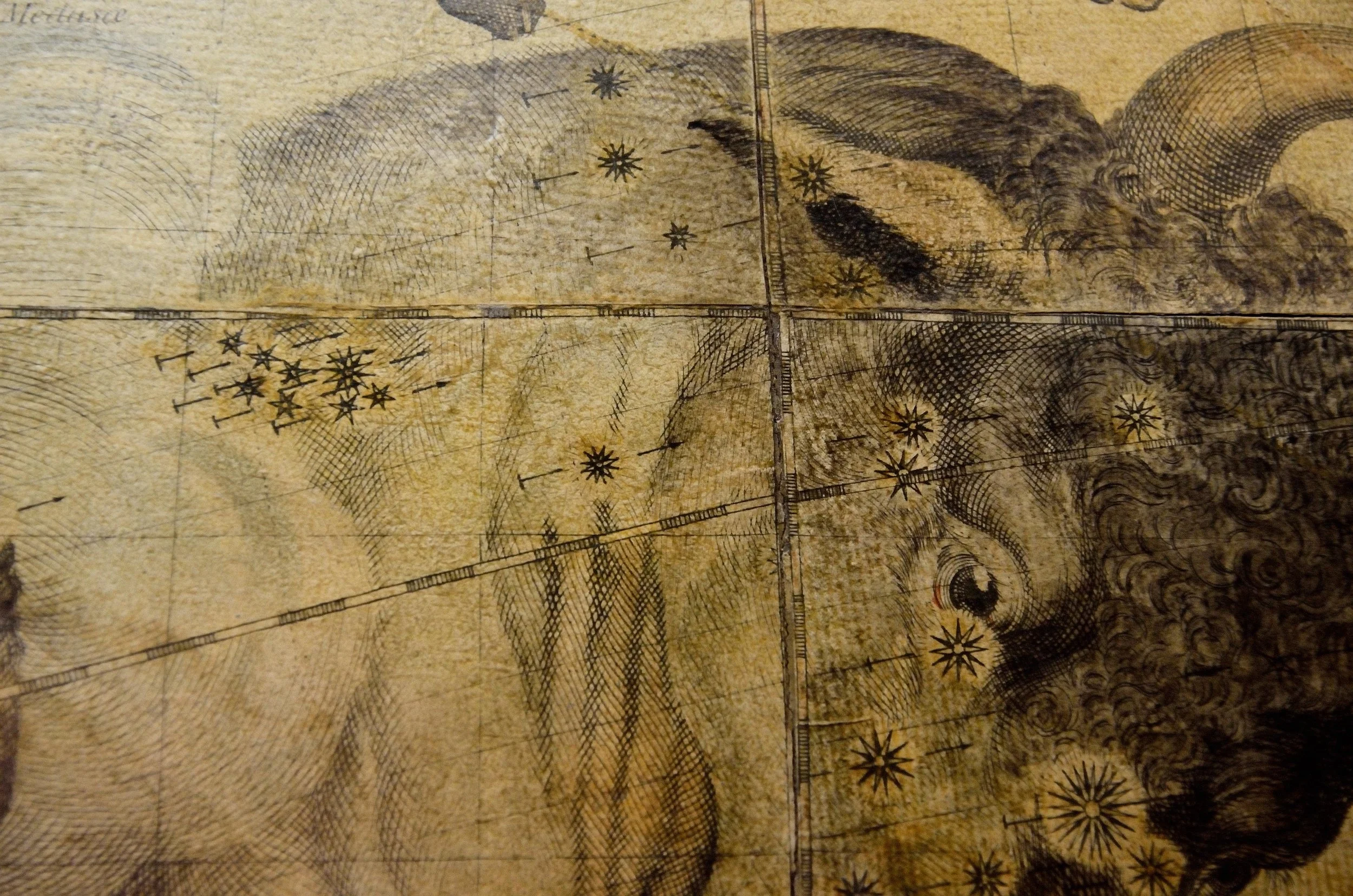 Le Pleiadi sulla spalla di Taurus/ The Pleiades on the shoulder of Taurus Francesco Coronelli, Globo celeste/ Celestial globe , 1693 Esemplare del 1803, ristampa dai rami originali/ Edition 1803, engraved from the original plates Venezxia, Museo Storico Navale, Inv. N. 5935 Credits Chiara Enzo and Marta Naturale, 2016