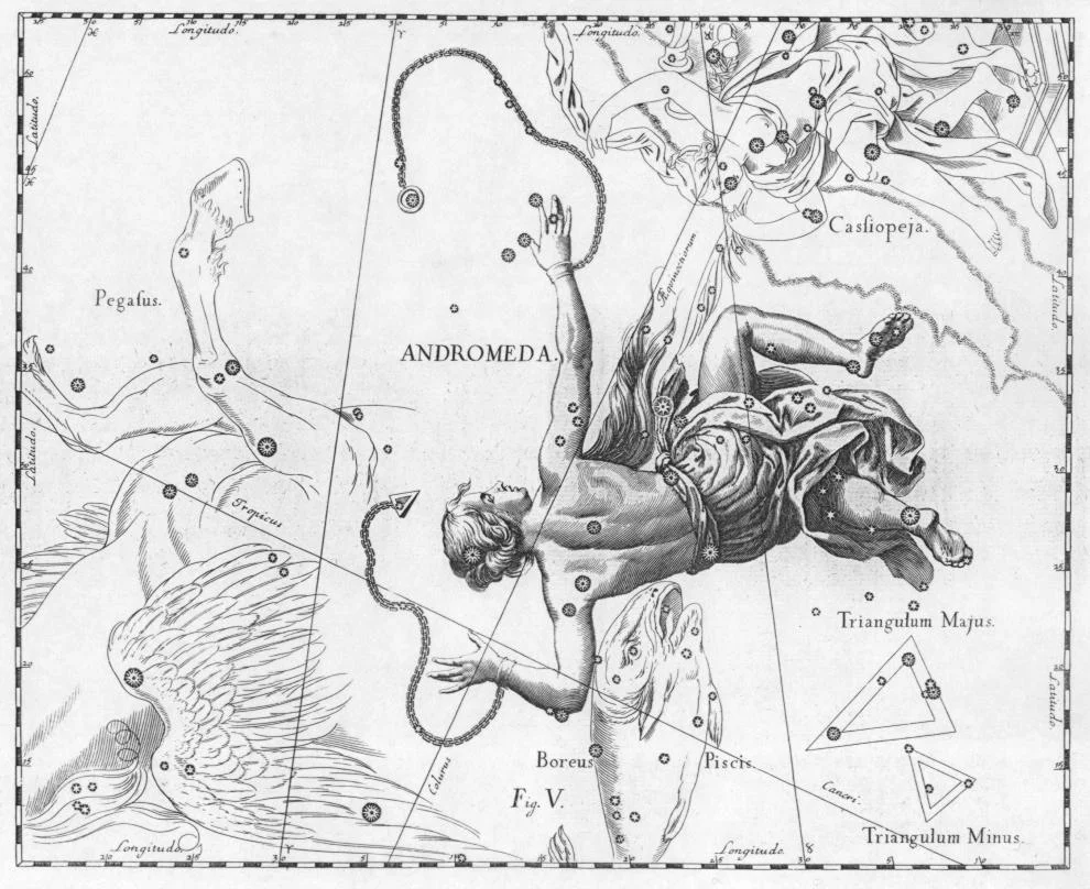 Andromeda Da/ From : Johannes Hevelius, Firmamentum Sobiescianum sive Uranografia, Gdansk 1690 Incisione a bulino/Engraving