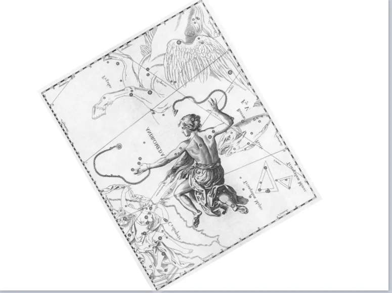 Johannes Hevelius, Constellation Andromeda , from Firmamentum Sobiescianum sive Uranografia , Gdansk 1690 (rotated for easier comparison with the previous image)
